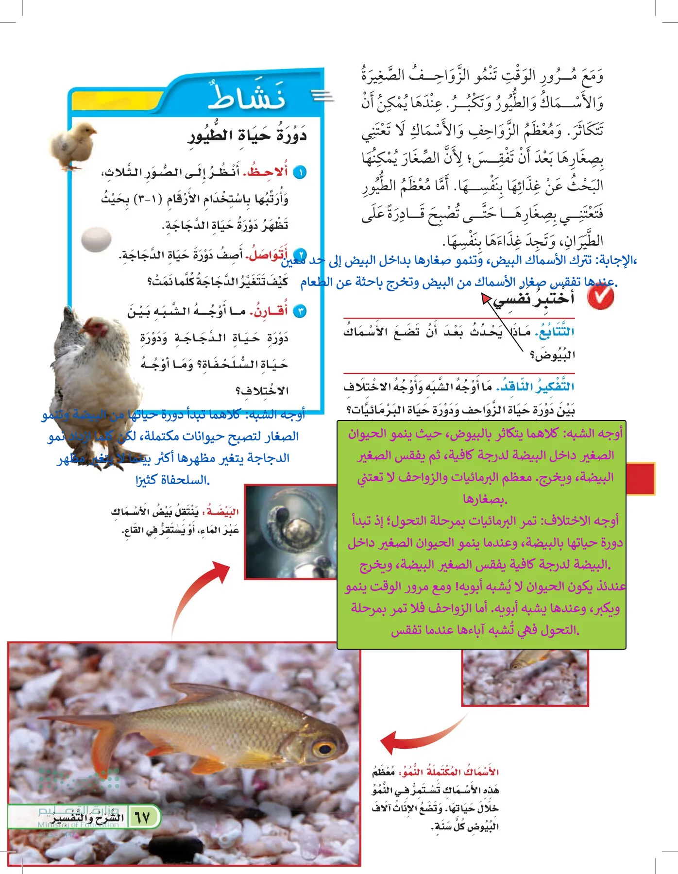العلوم page-66
