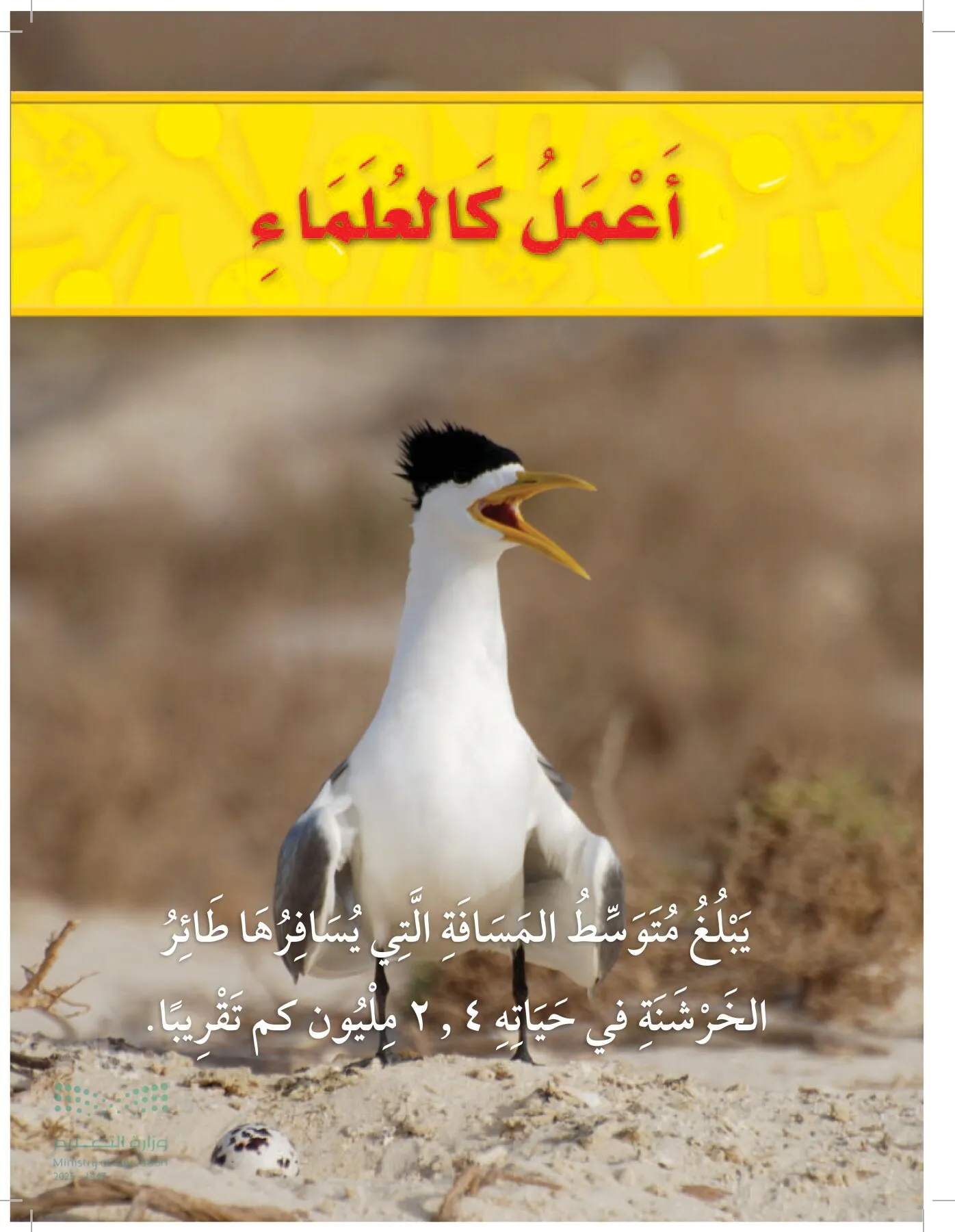 العلوم page-6