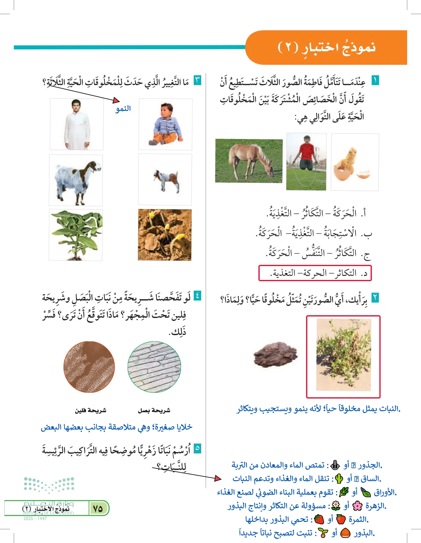 العلوم page-74
