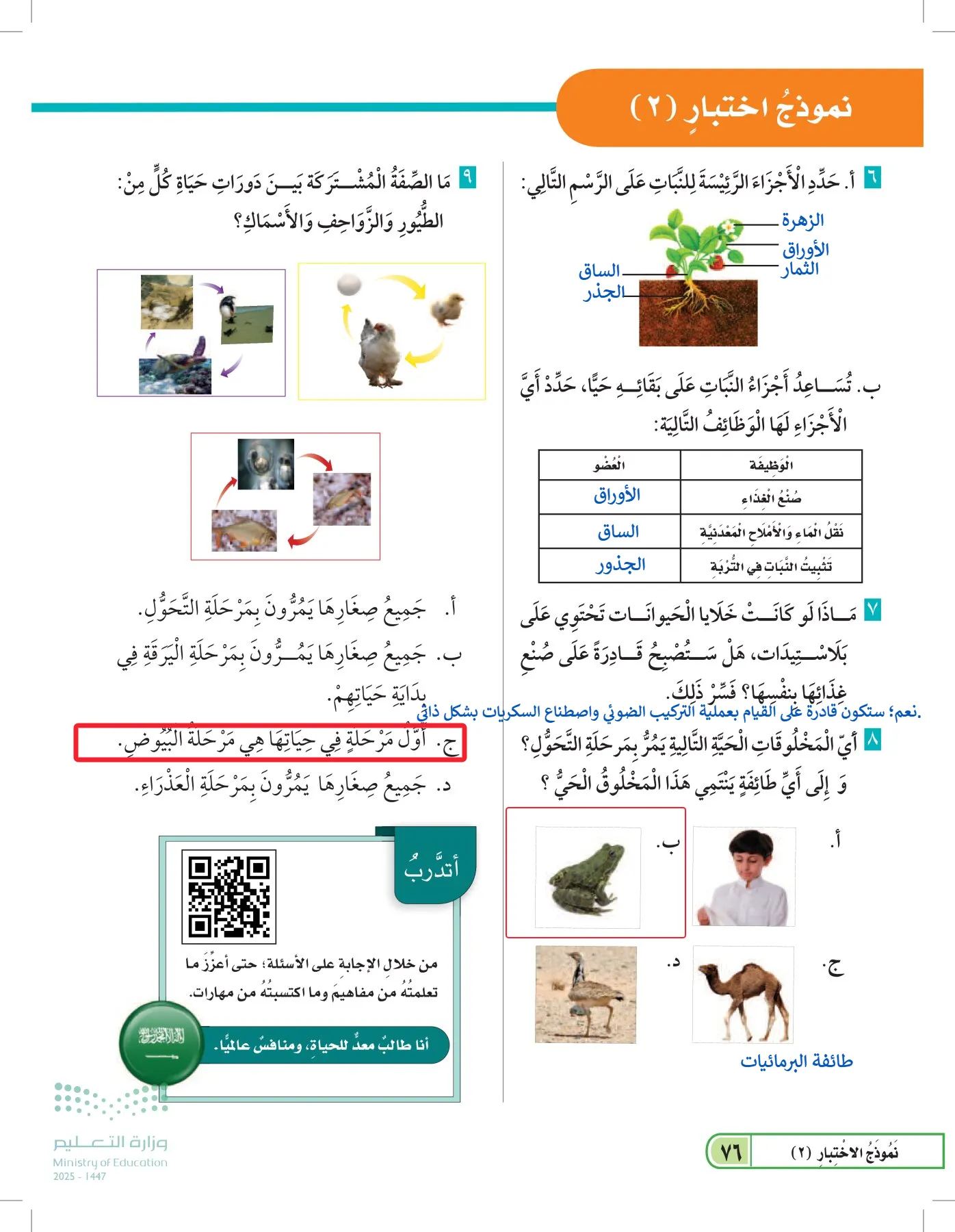العلوم page-75