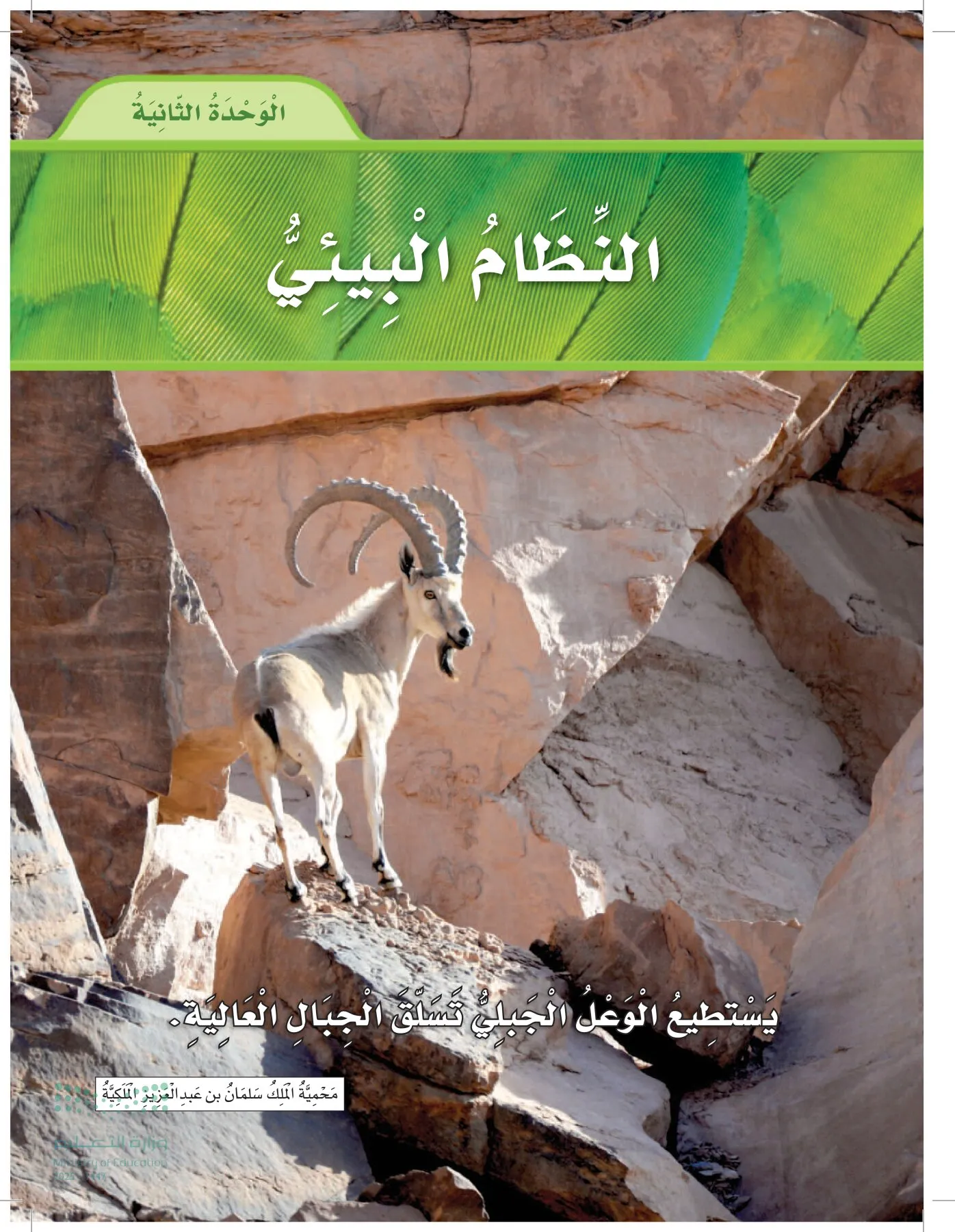 العلوم page-76