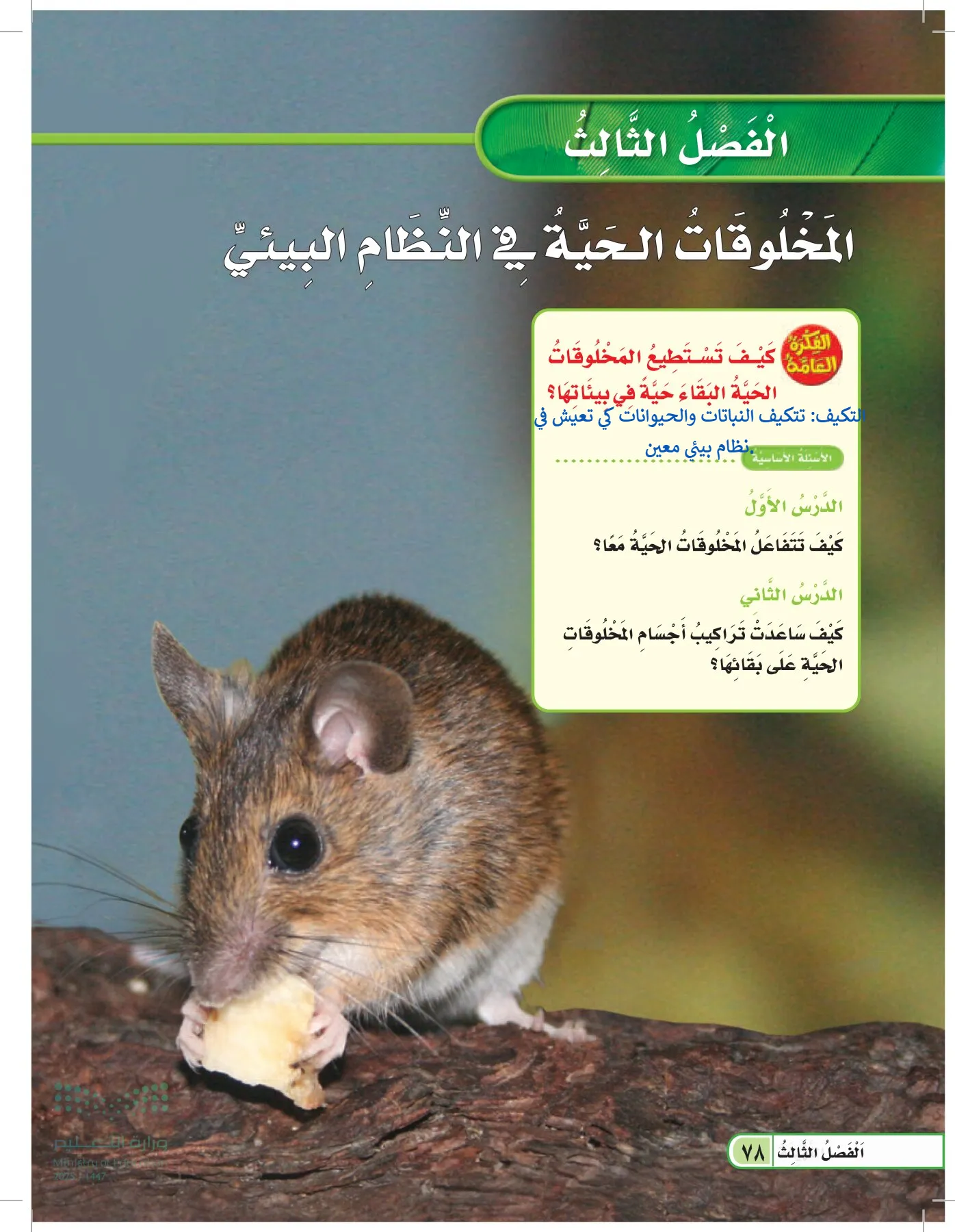 العلوم page-77
