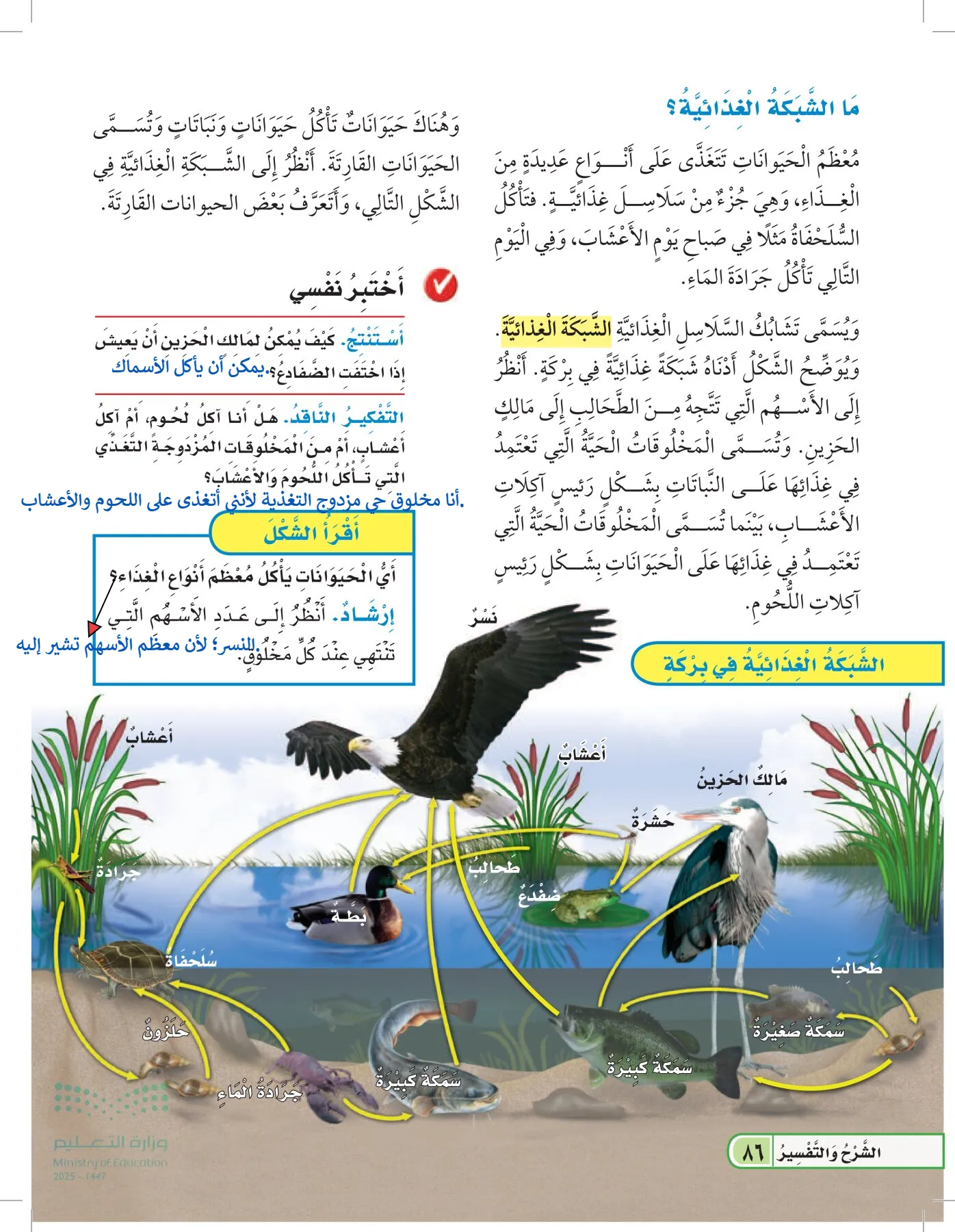 العلوم page-85