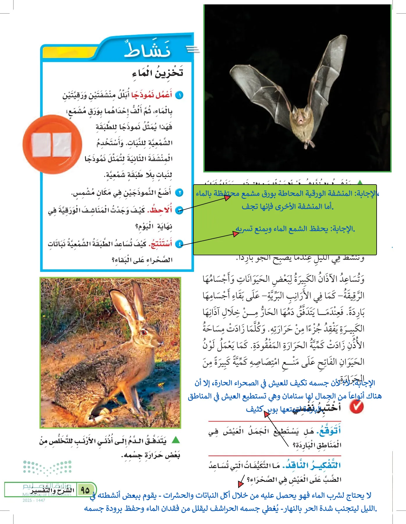 العلوم page-94