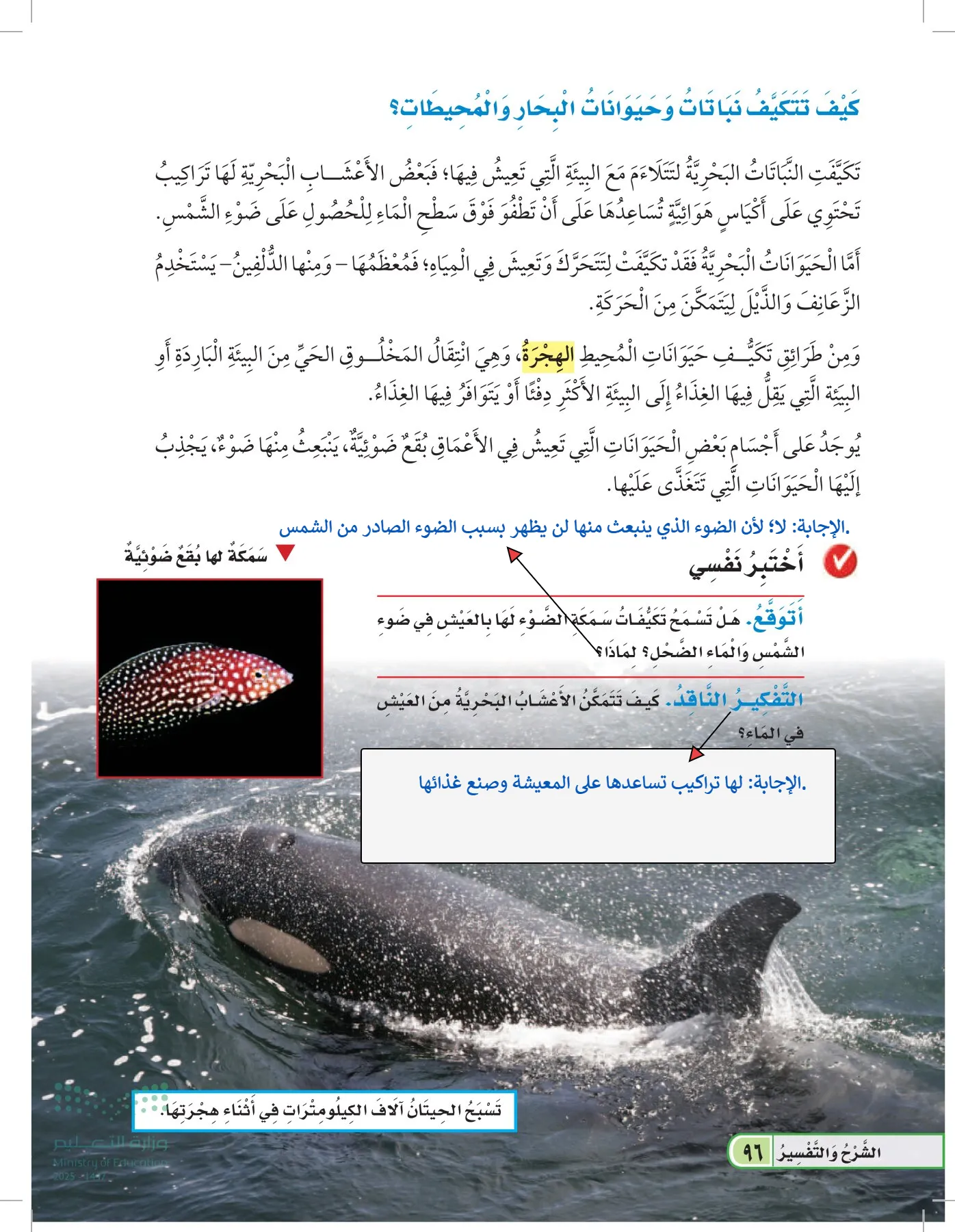العلوم page-95