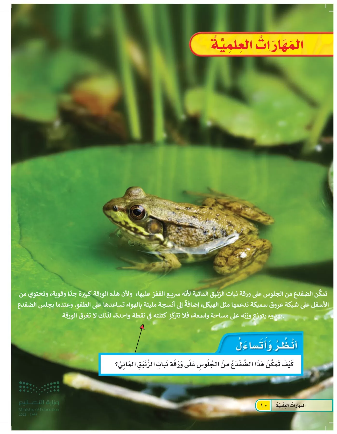 العلوم page-9