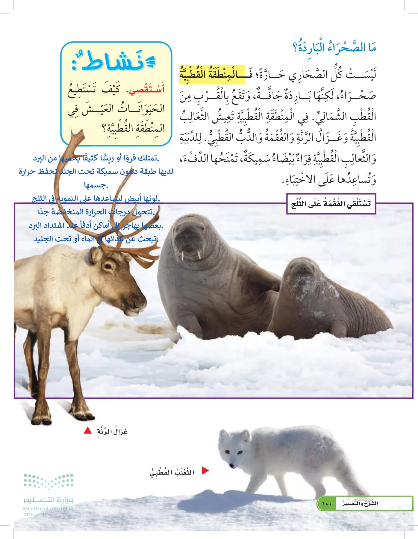 العلوم page-99