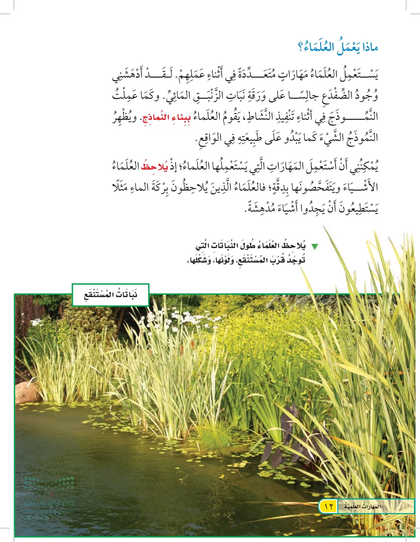 العلوم page-11