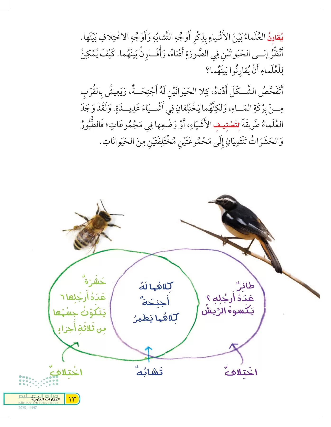 العلوم page-12