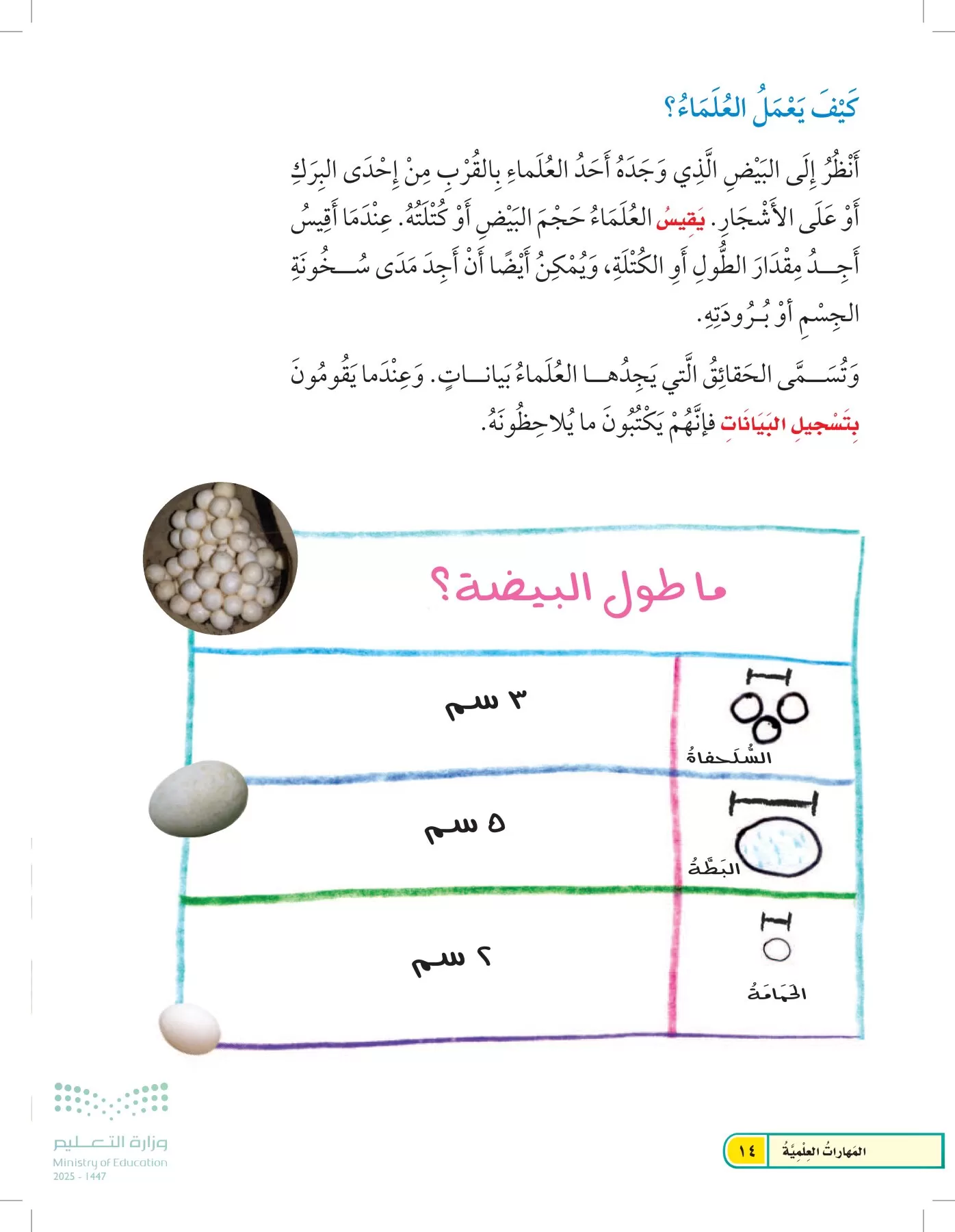 العلوم page-13