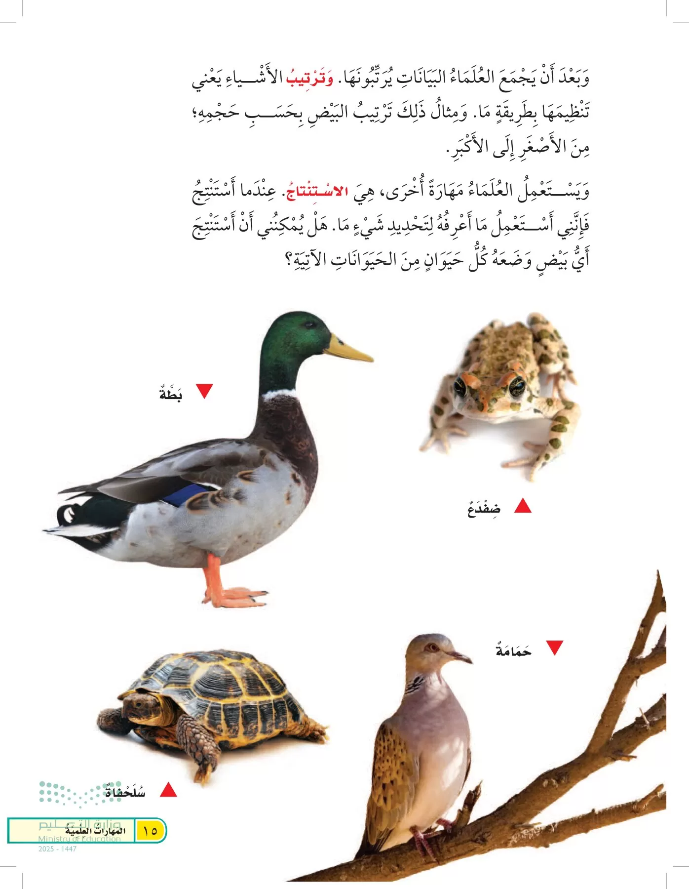 العلوم page-14