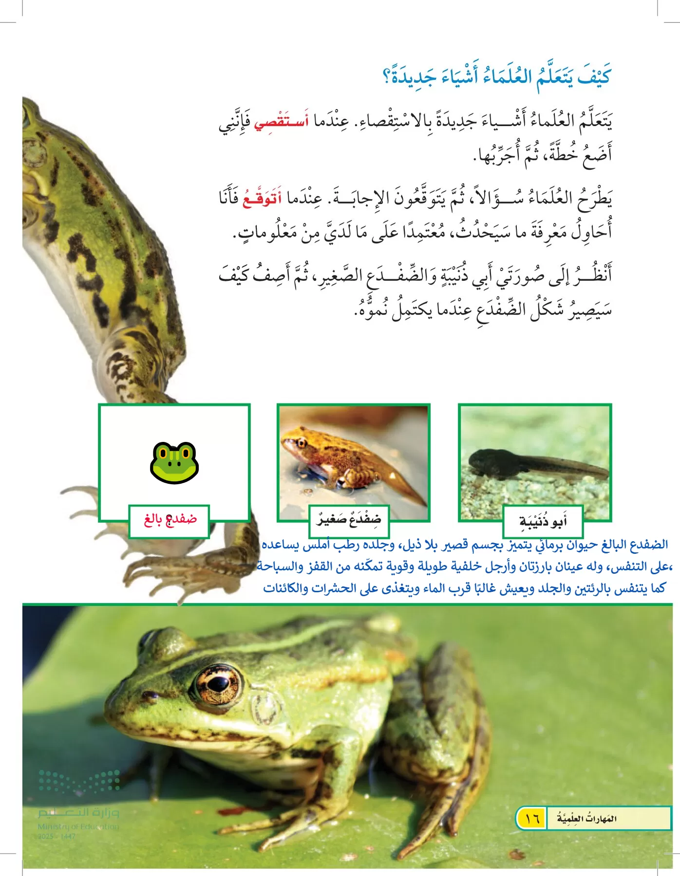 العلوم page-15