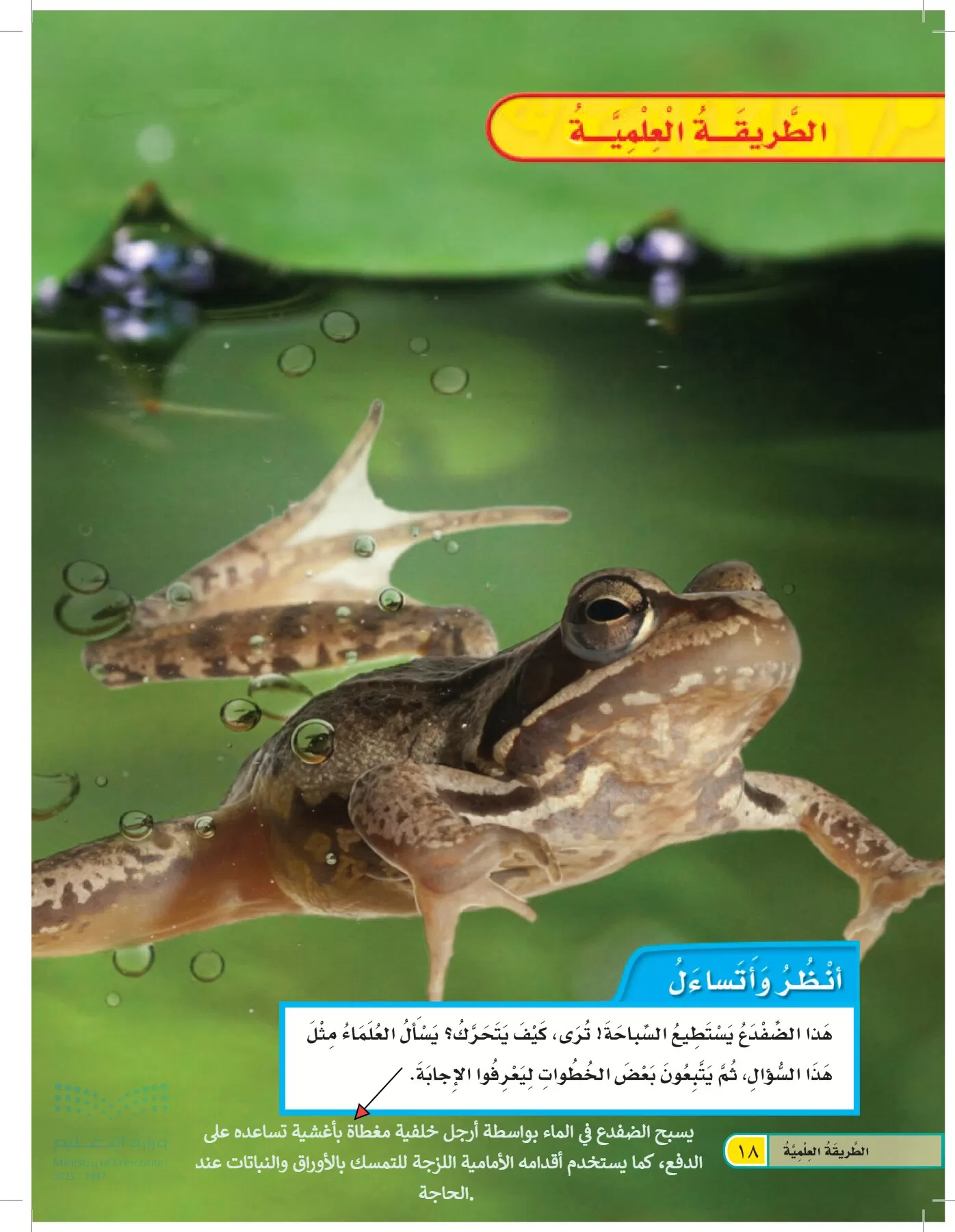 العلوم page-17