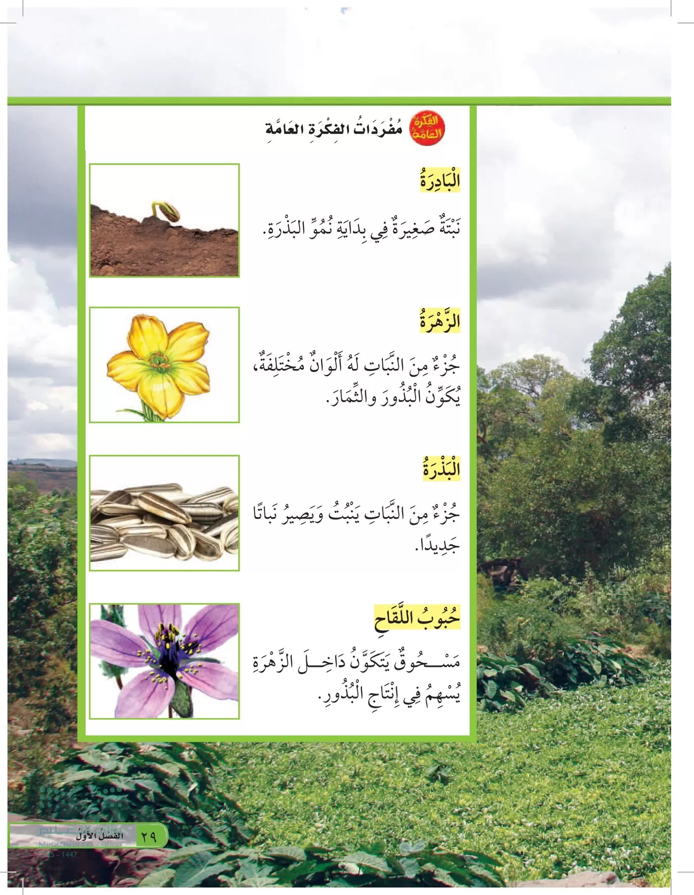 العلوم page-28