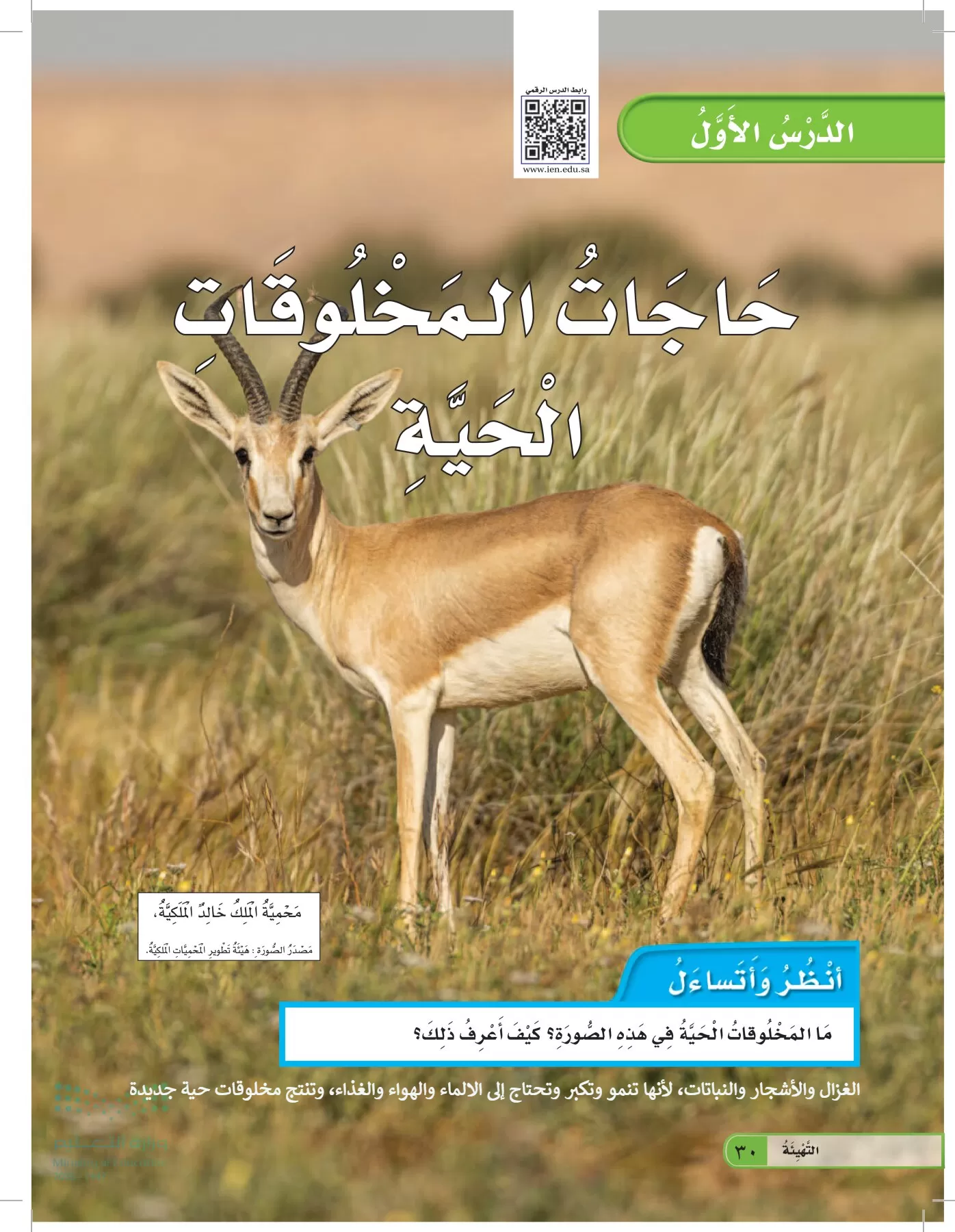 العلوم page-29
