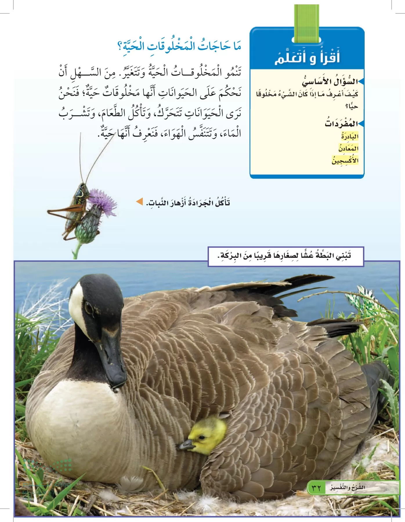 العلوم page-31