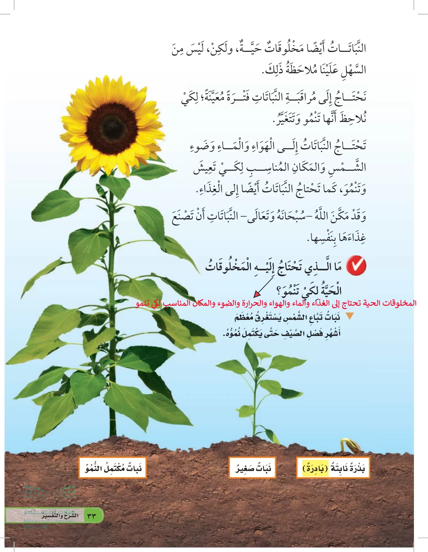 العلوم page-32