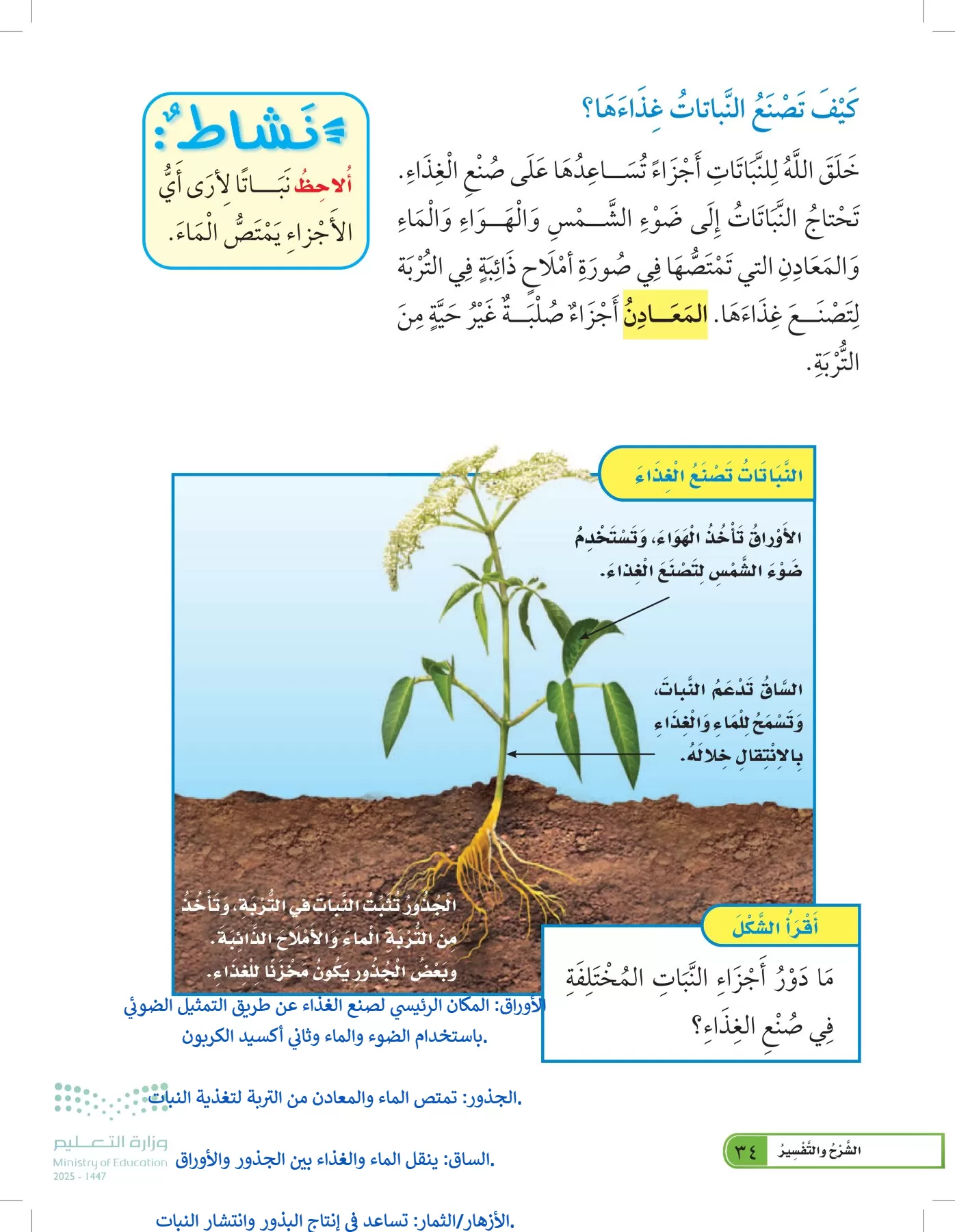 العلوم page-33