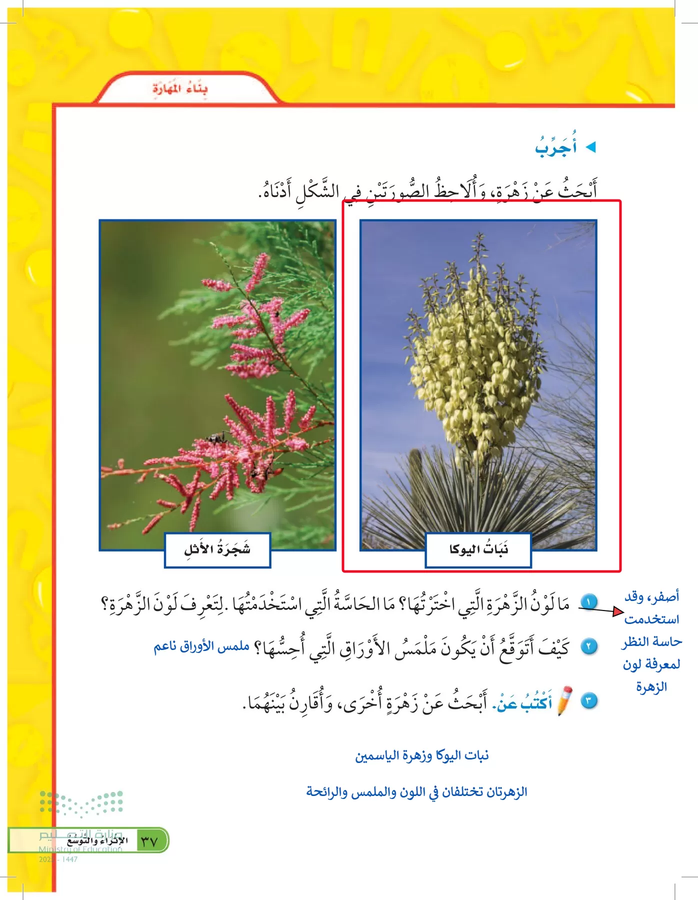 العلوم page-36