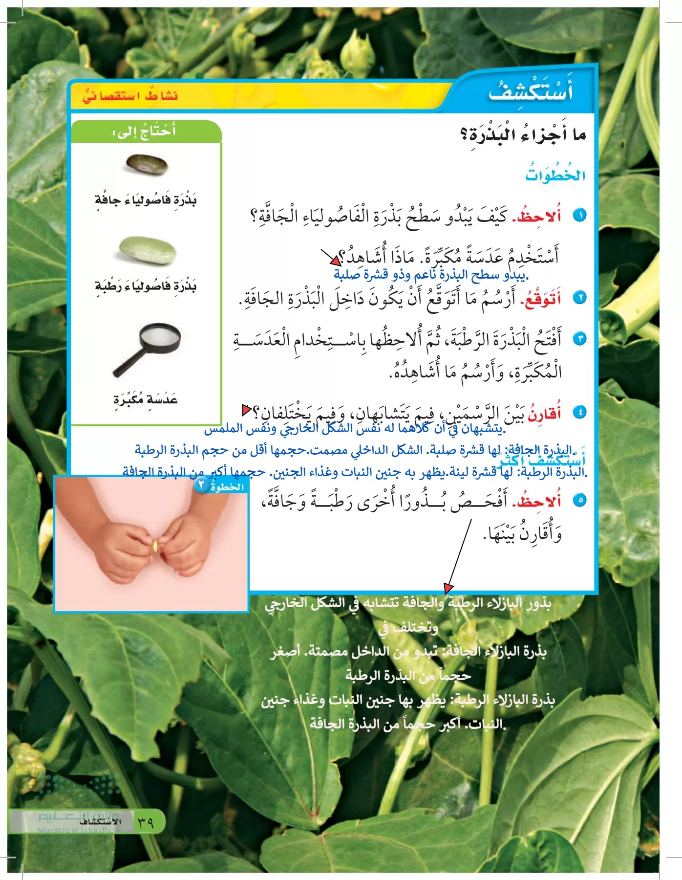 العلوم page-38