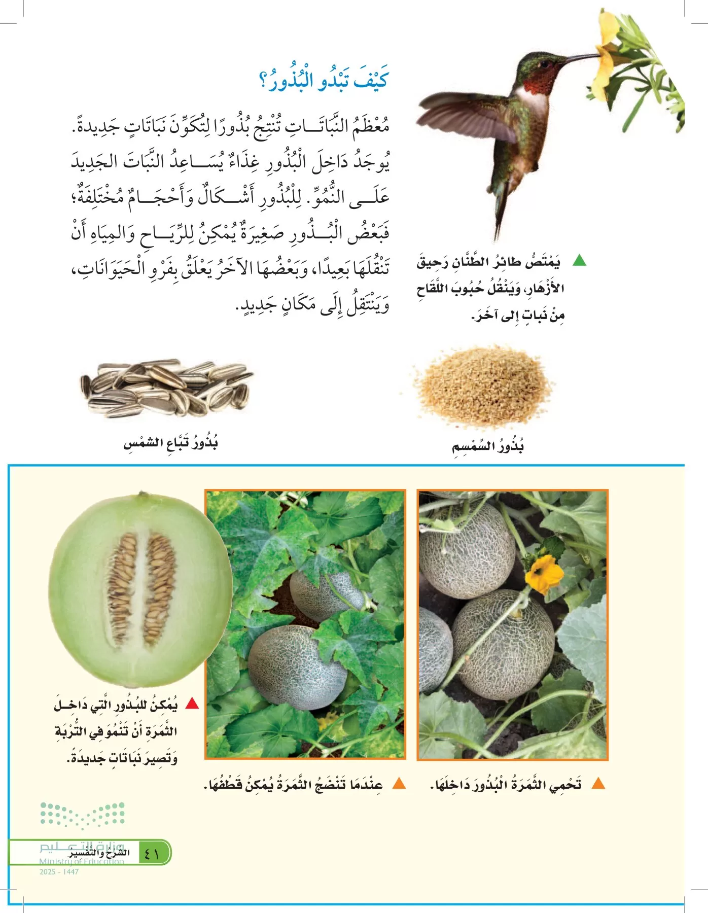العلوم page-40