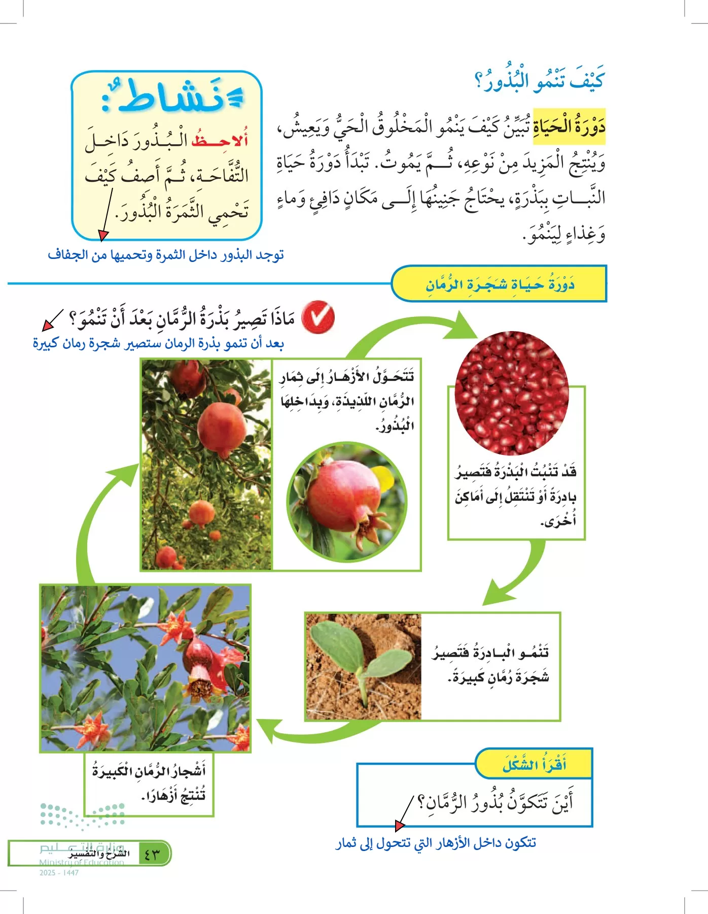 العلوم page-42