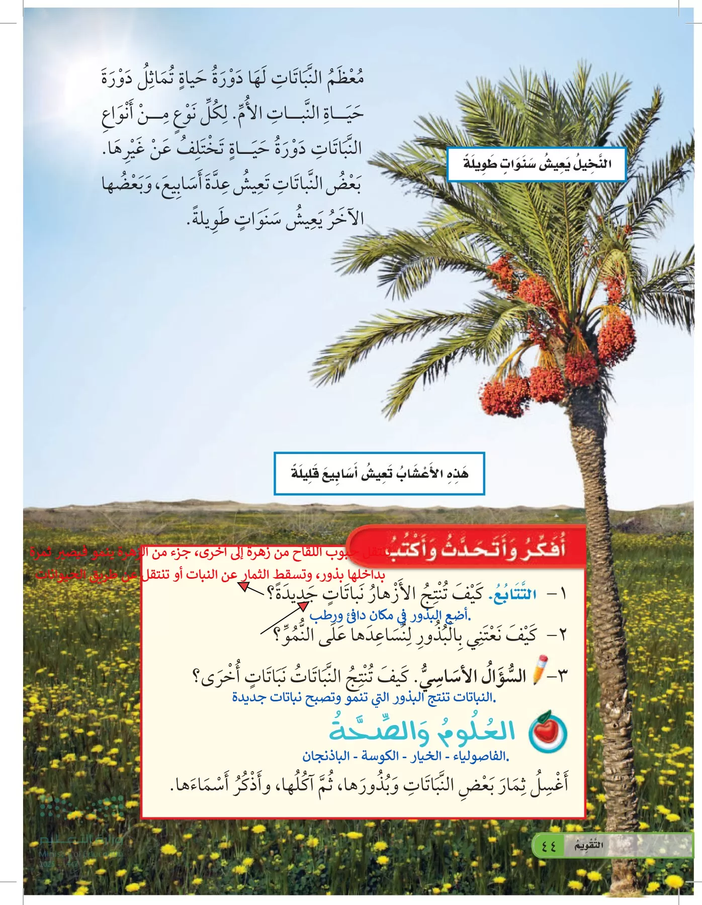 العلوم page-43