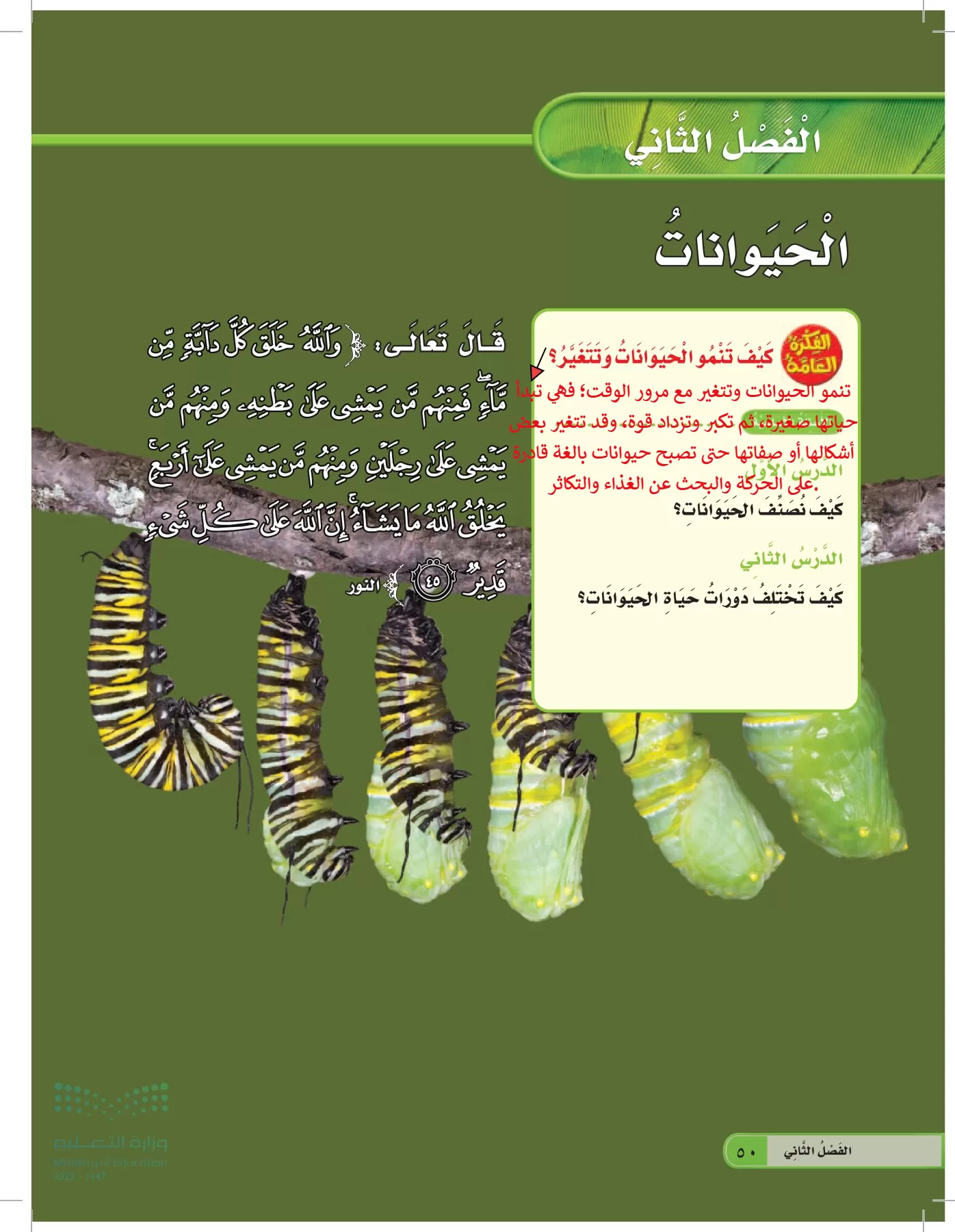 العلوم page-49