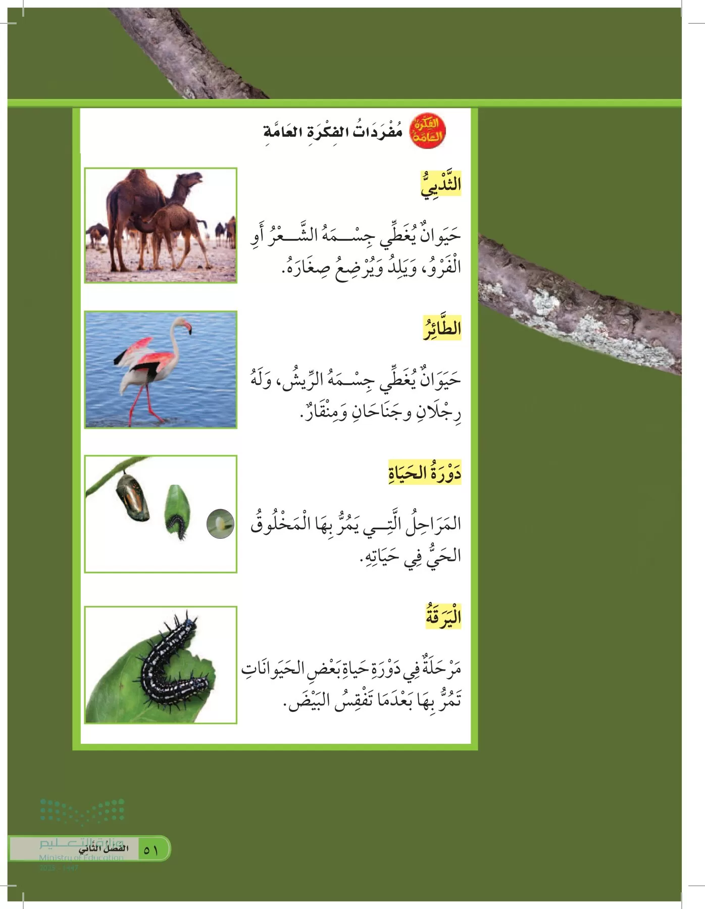 العلوم page-50