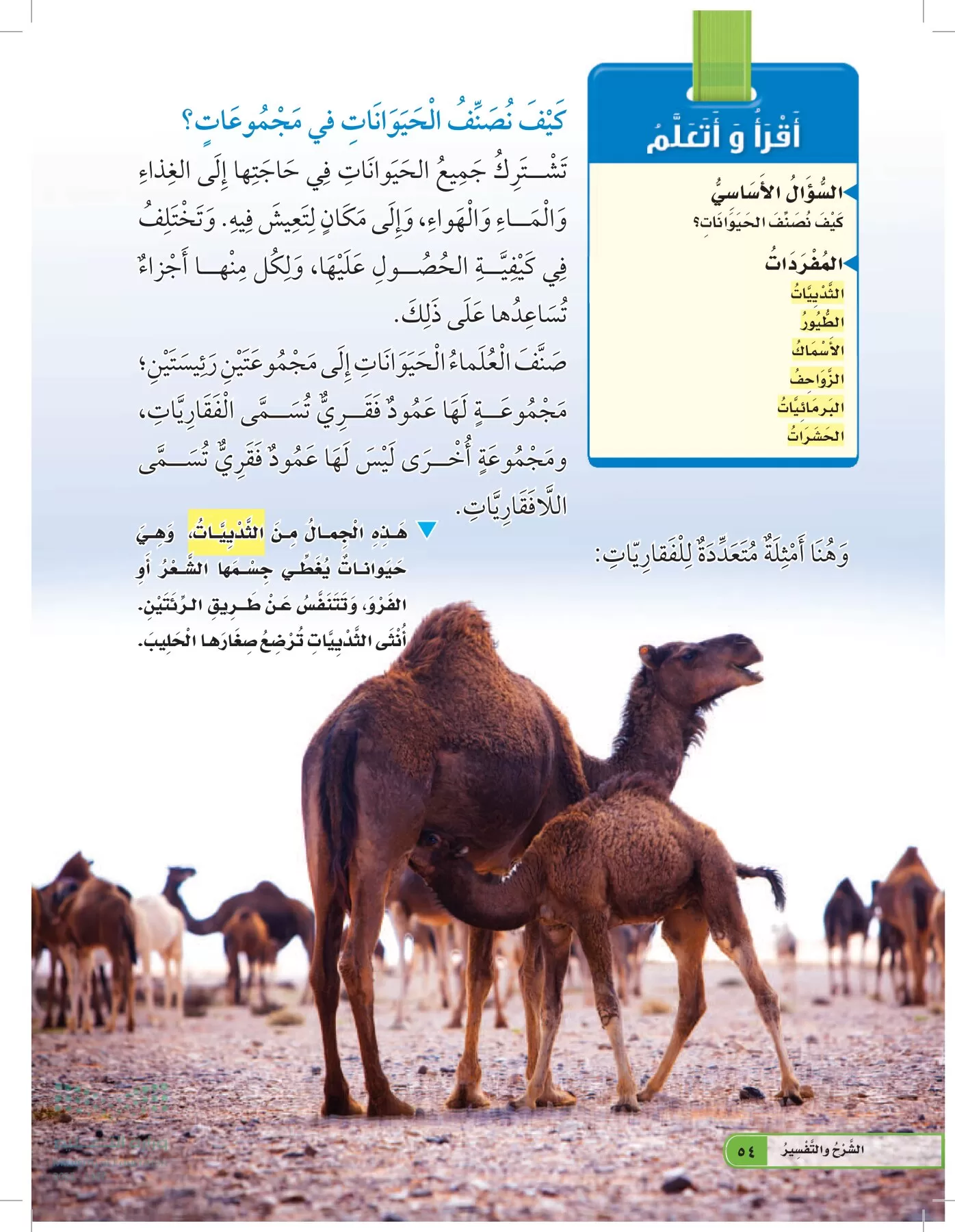 العلوم page-53