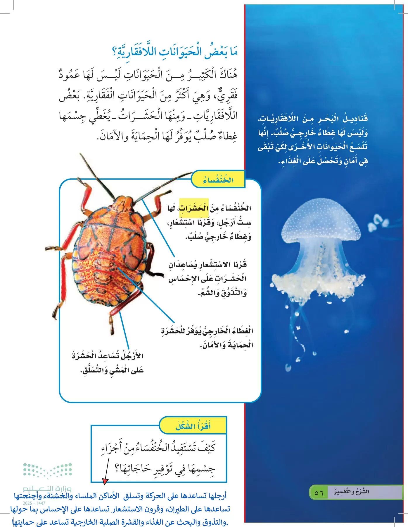 العلوم page-55