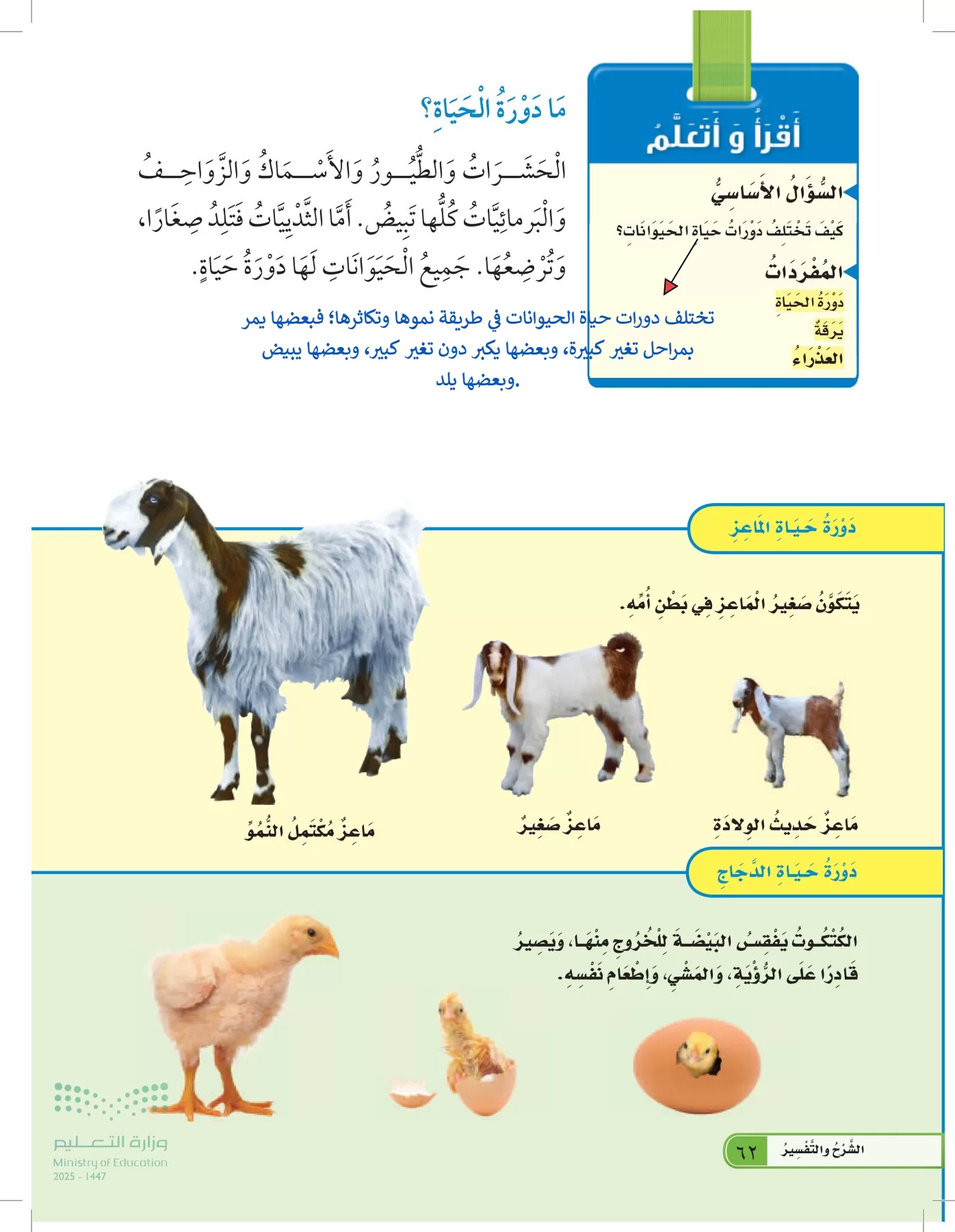 العلوم page-61