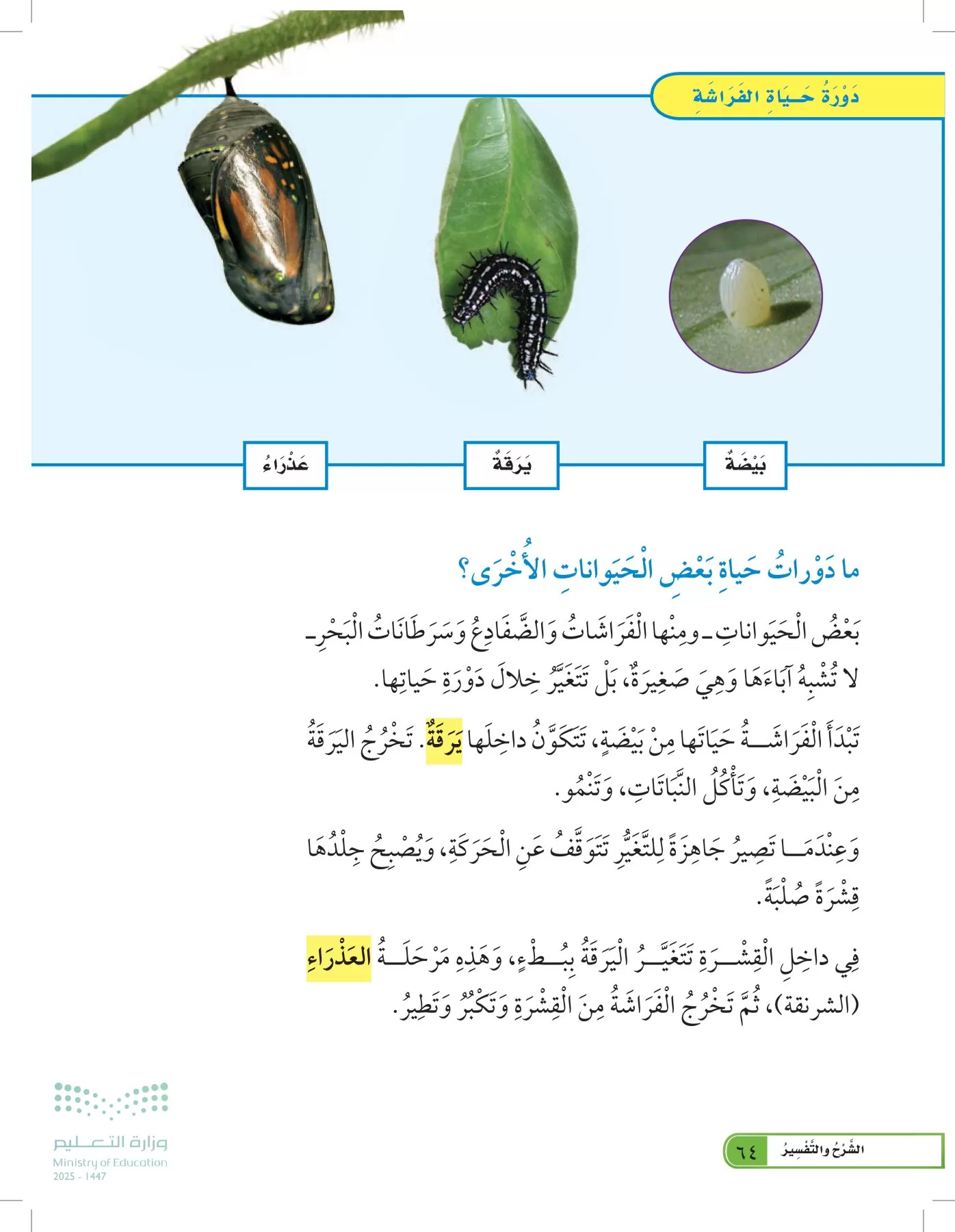 العلوم page-63
