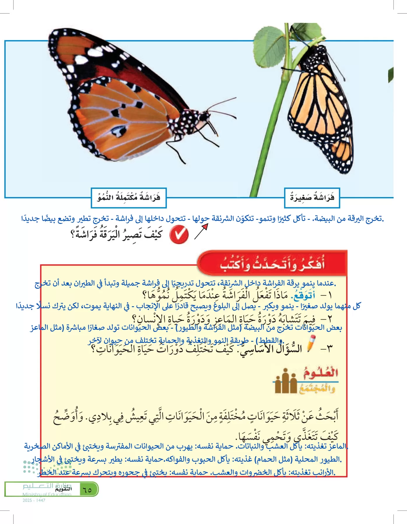 العلوم page-64