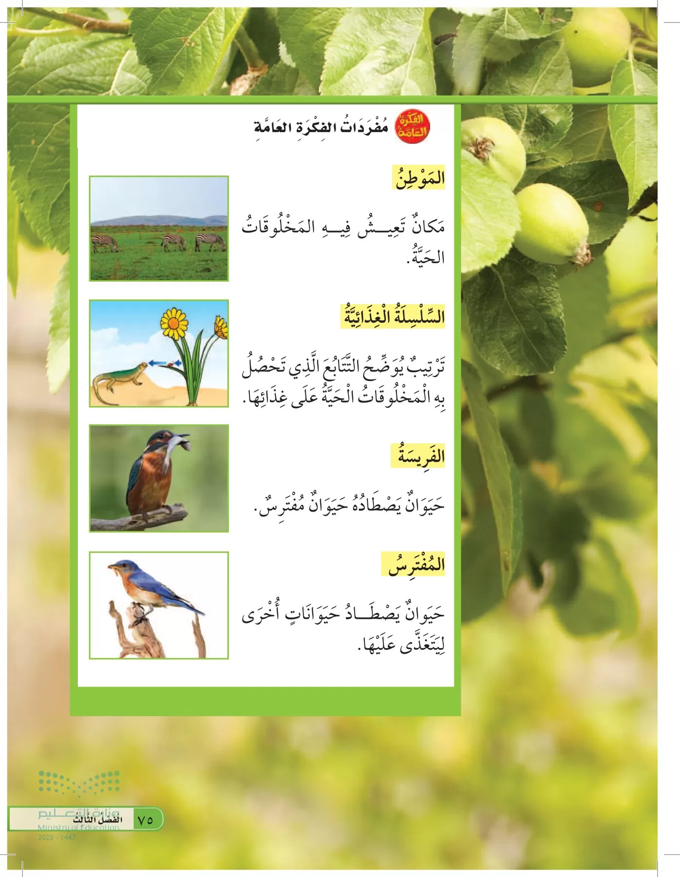 العلوم page-74
