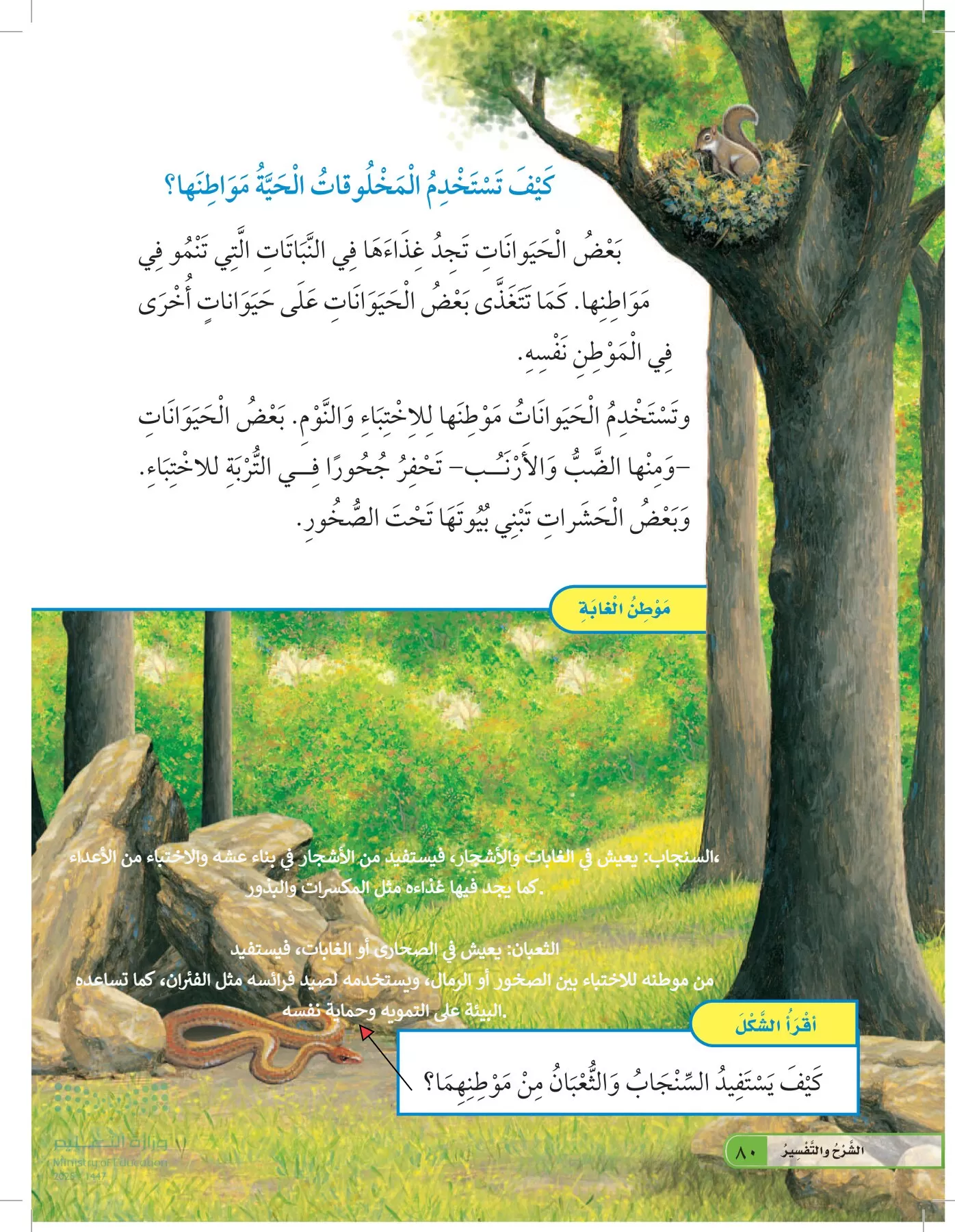 العلوم page-79