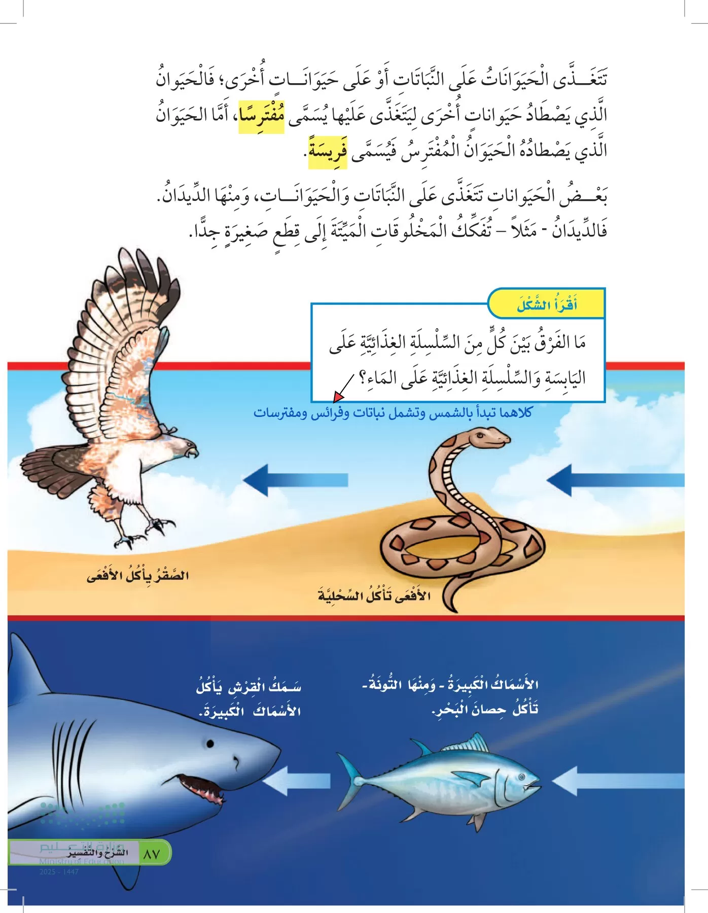 العلوم page-86