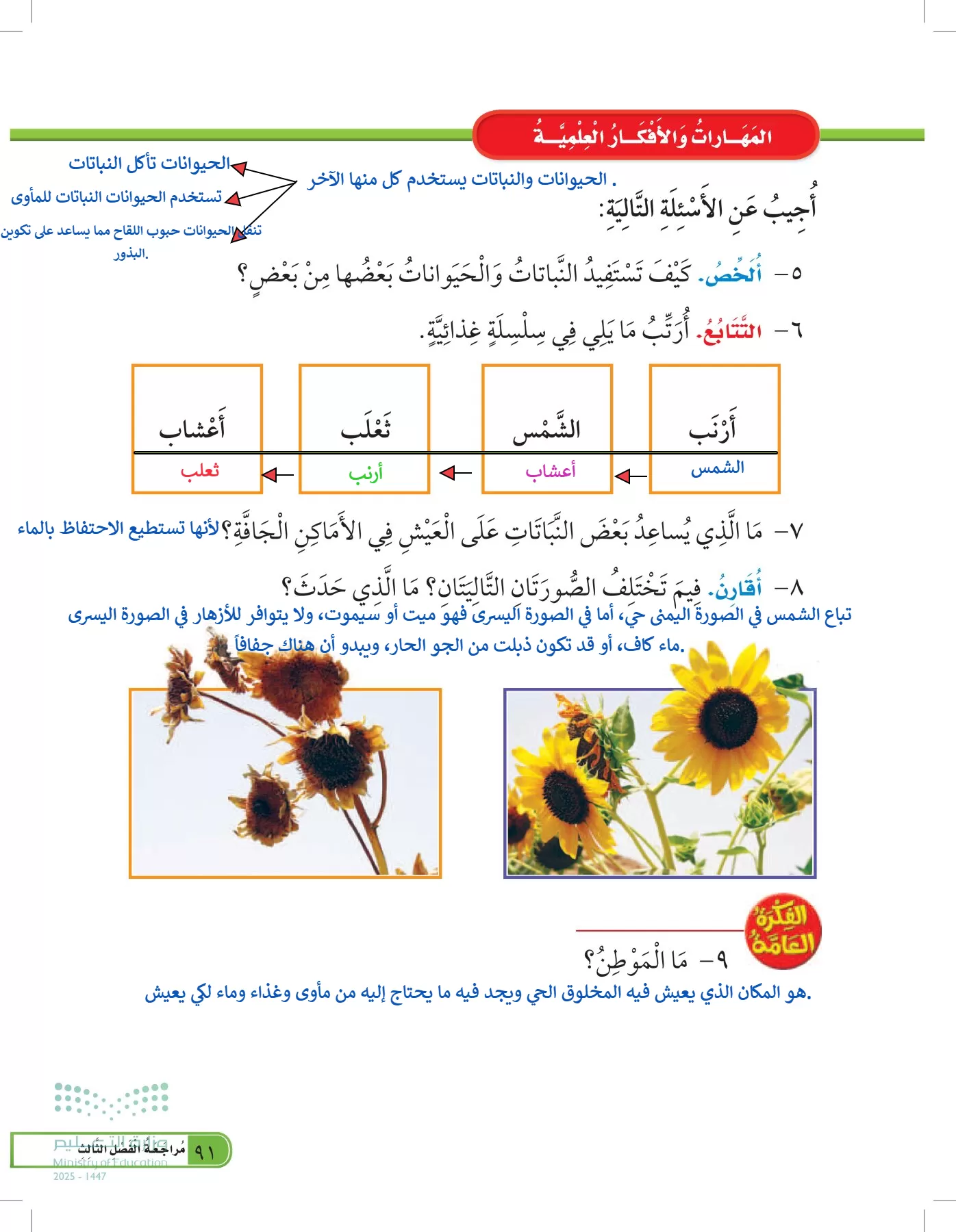 العلوم page-90