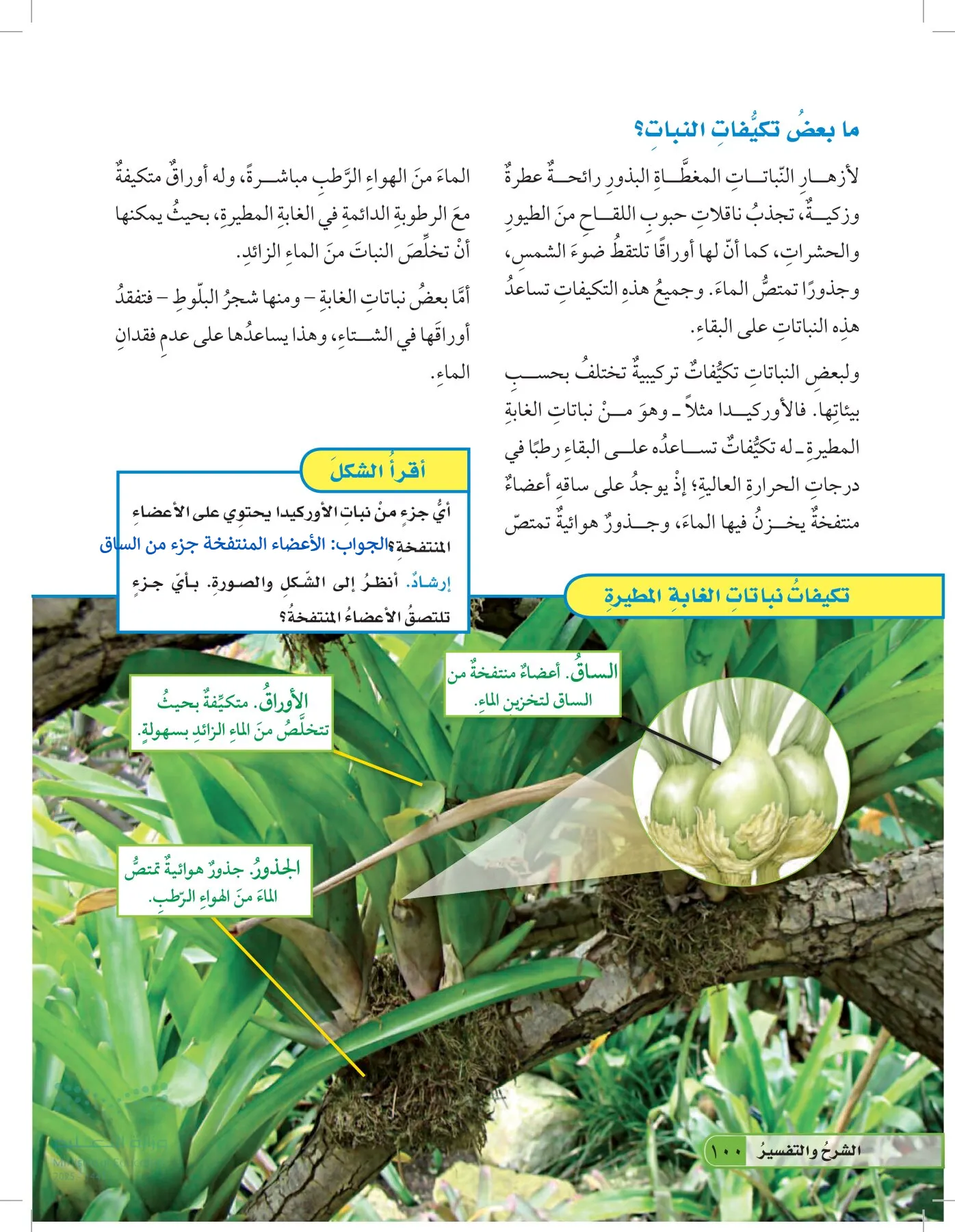 العلوم page-99