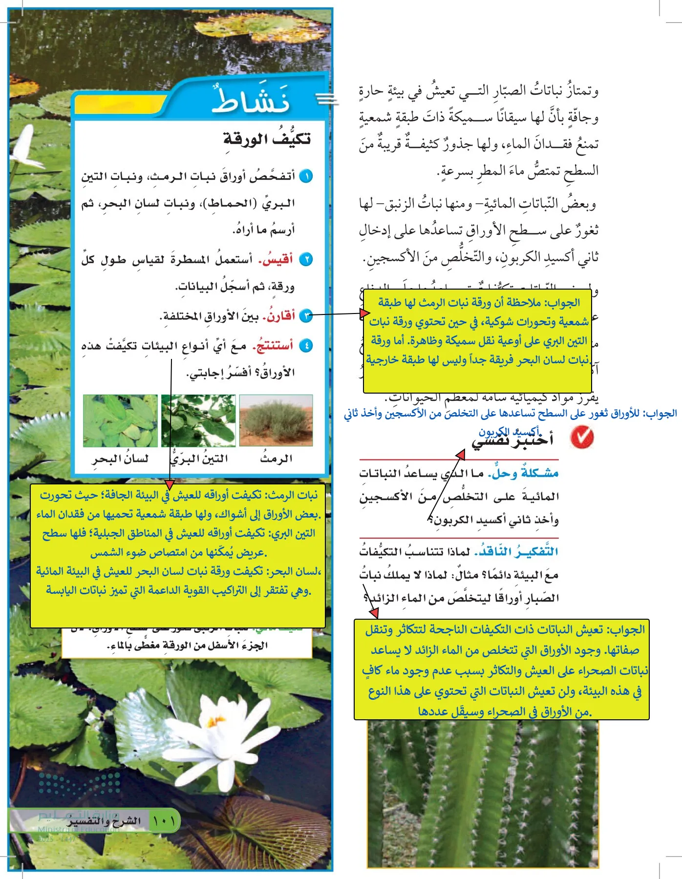 العلوم page-100