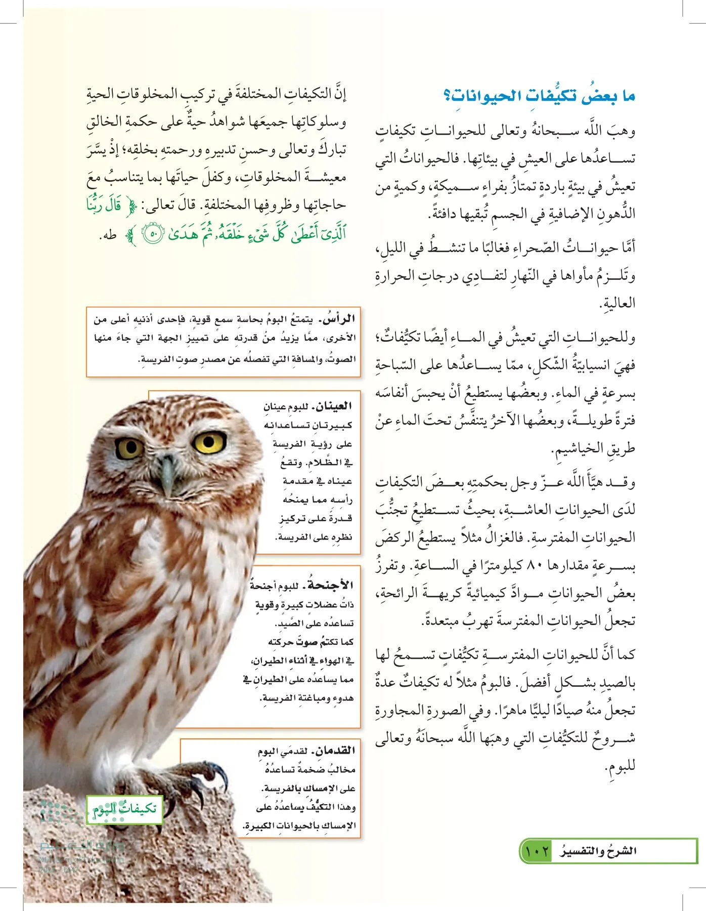 العلوم page-101