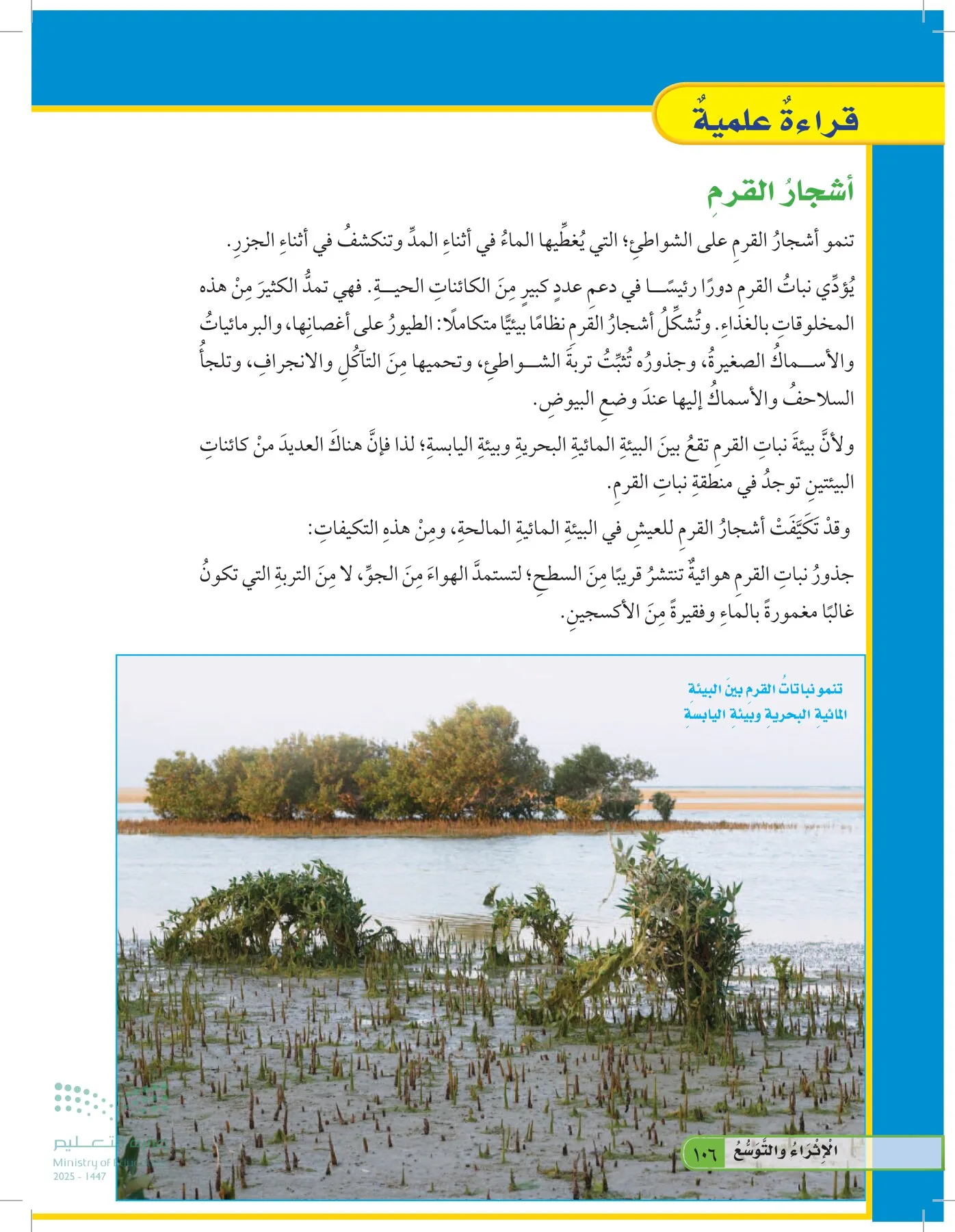 العلوم page-105