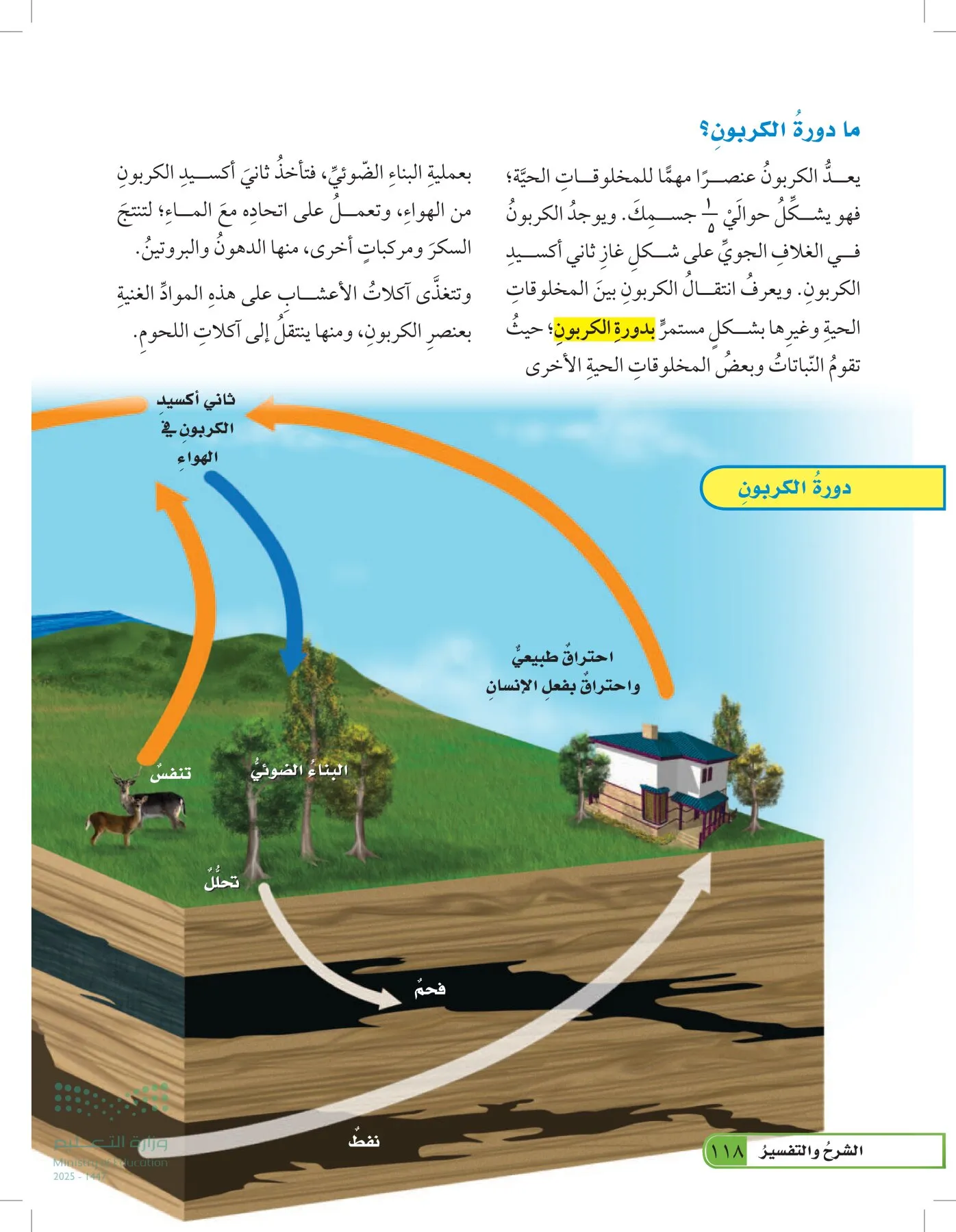 العلوم page-117