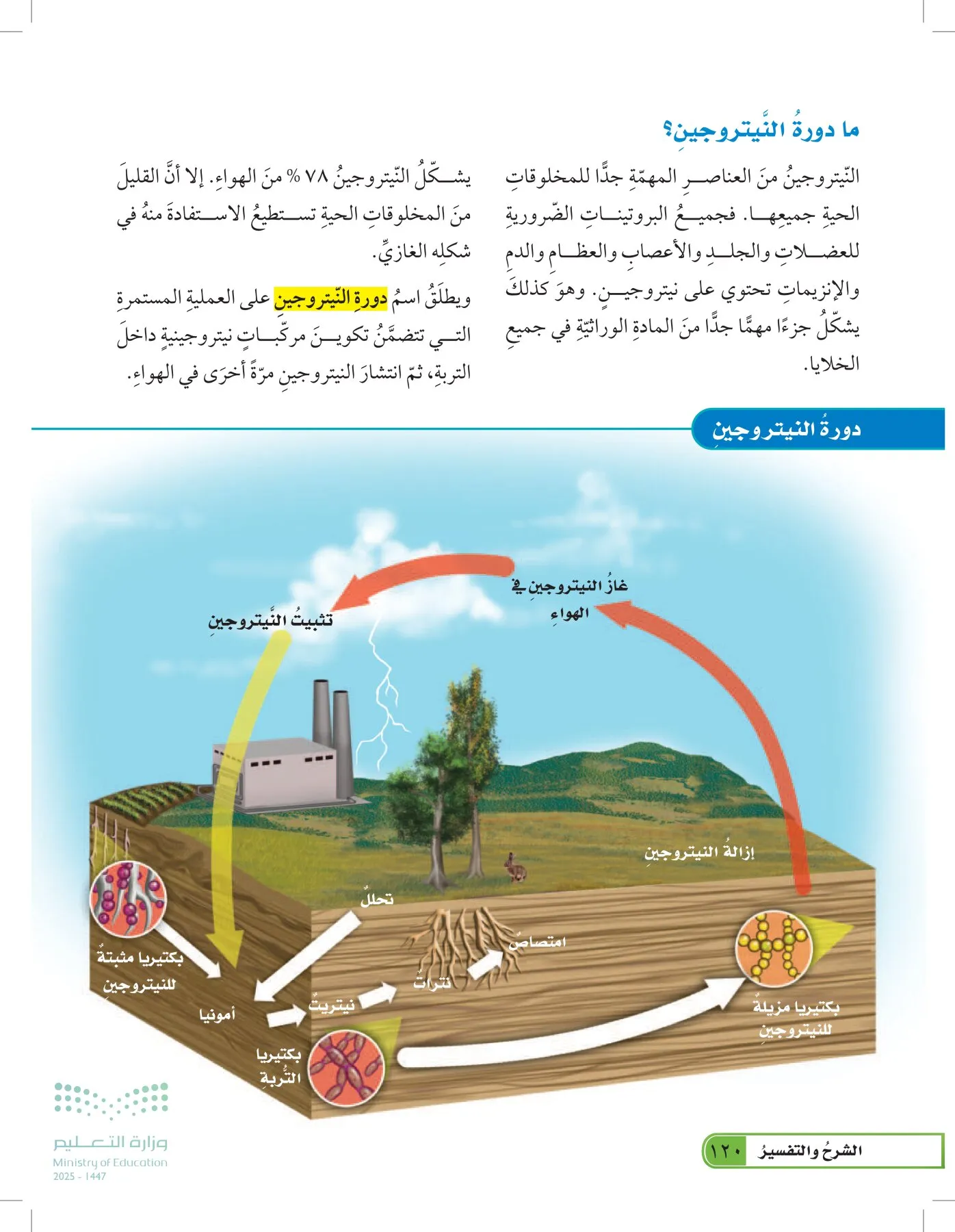 العلوم page-119