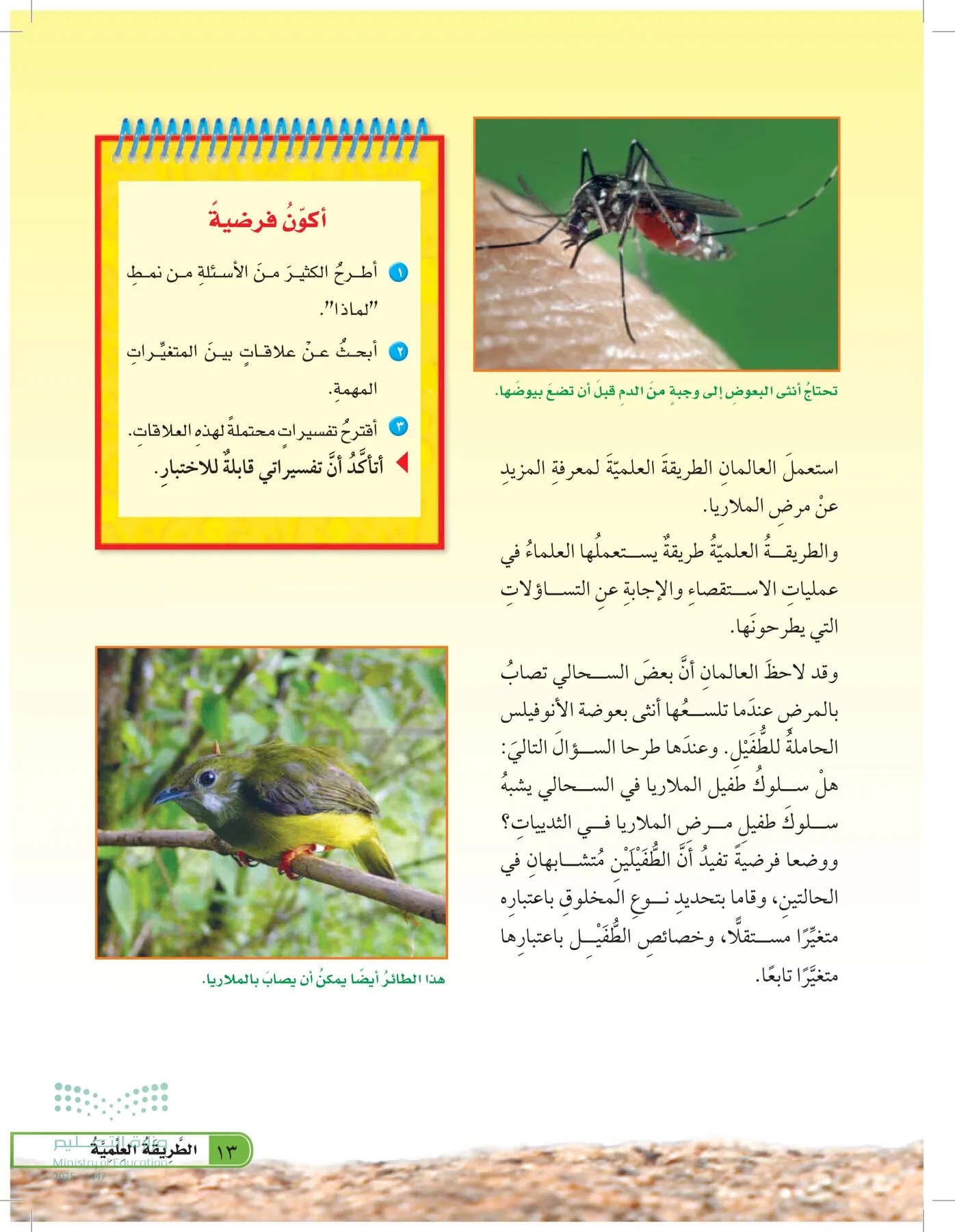 العلوم page-12
