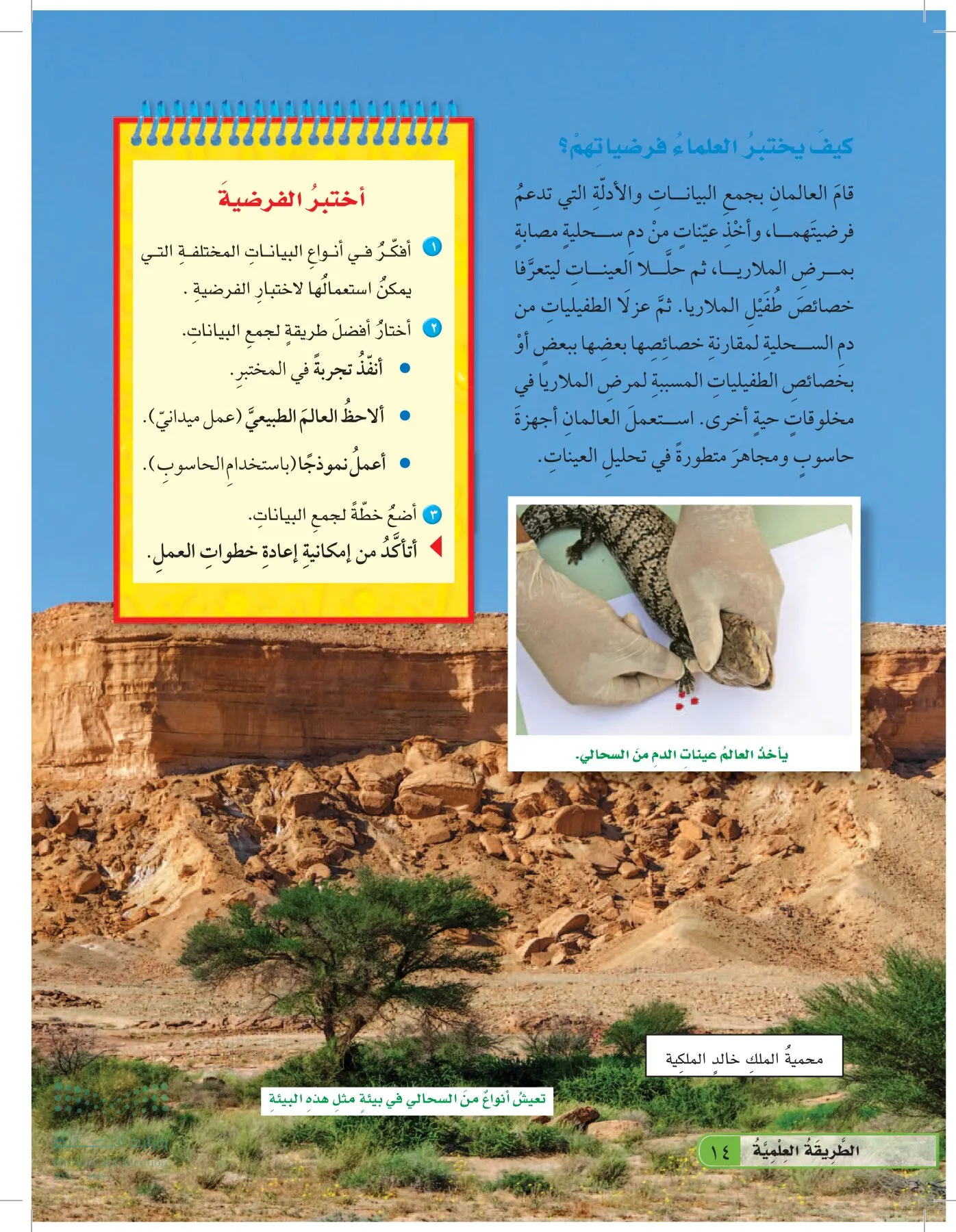 العلوم page-13
