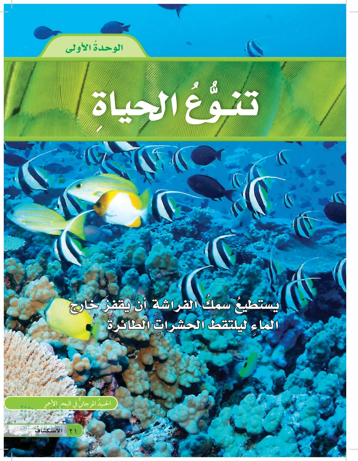العلوم page-20