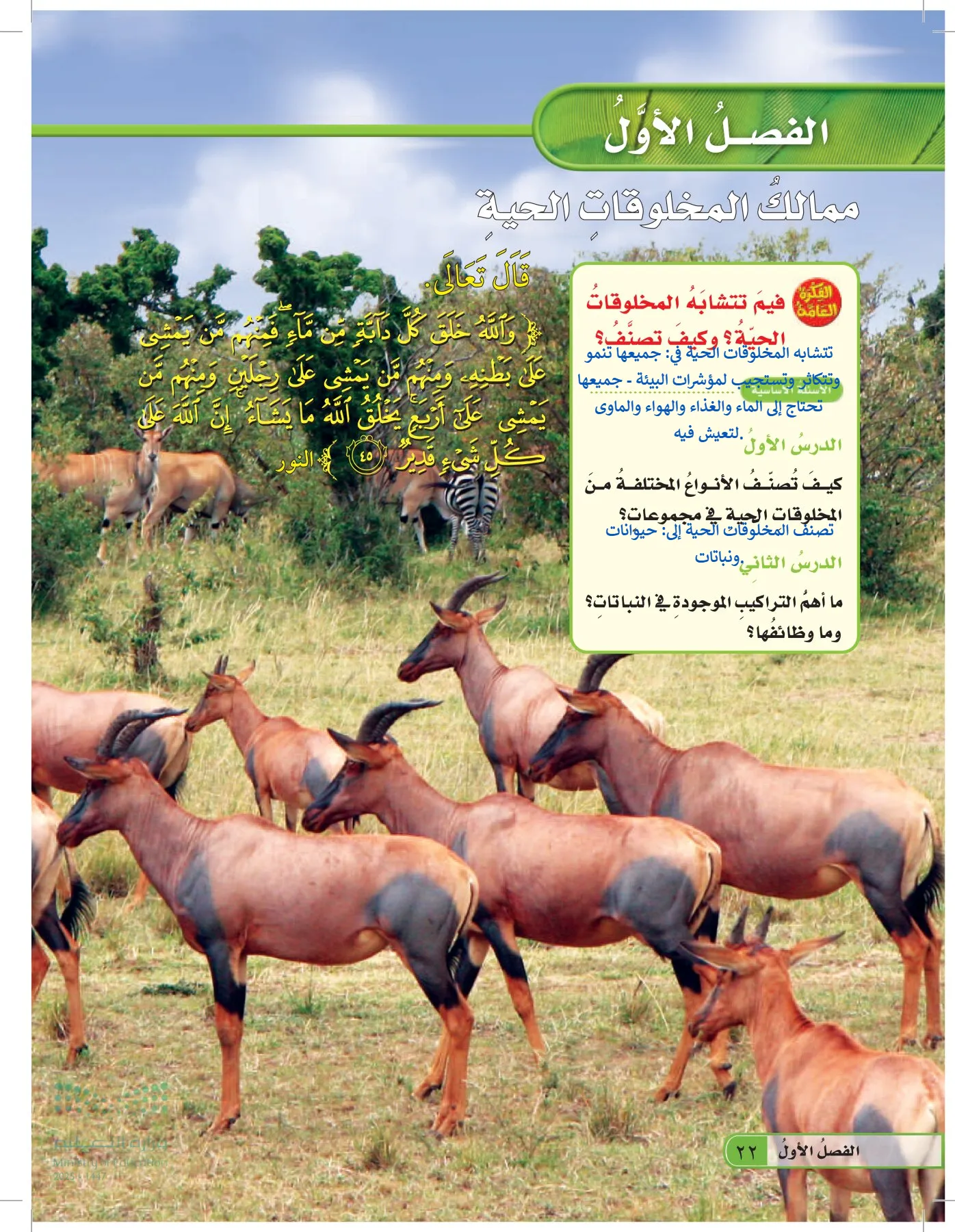 العلوم page-21
