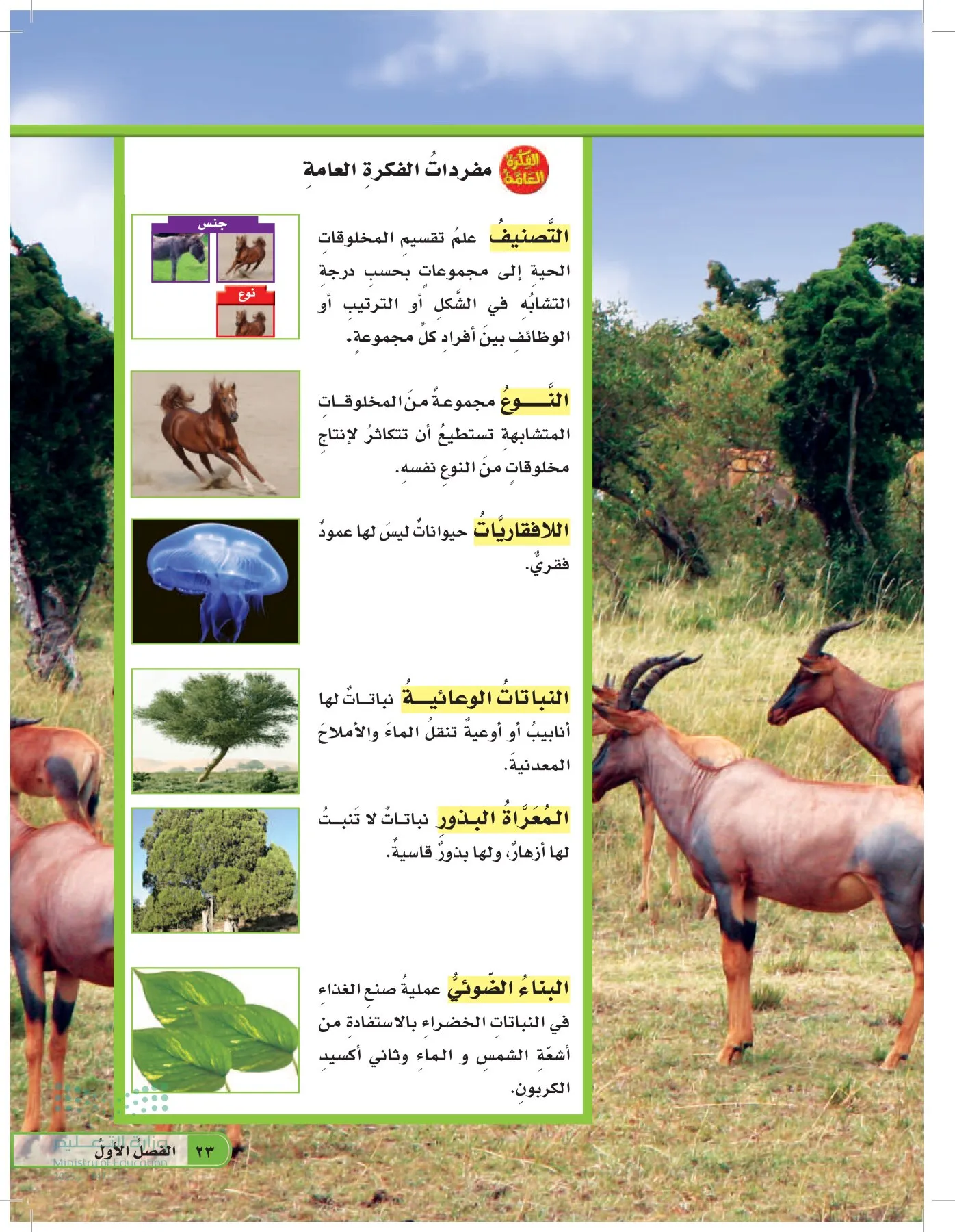العلوم page-22