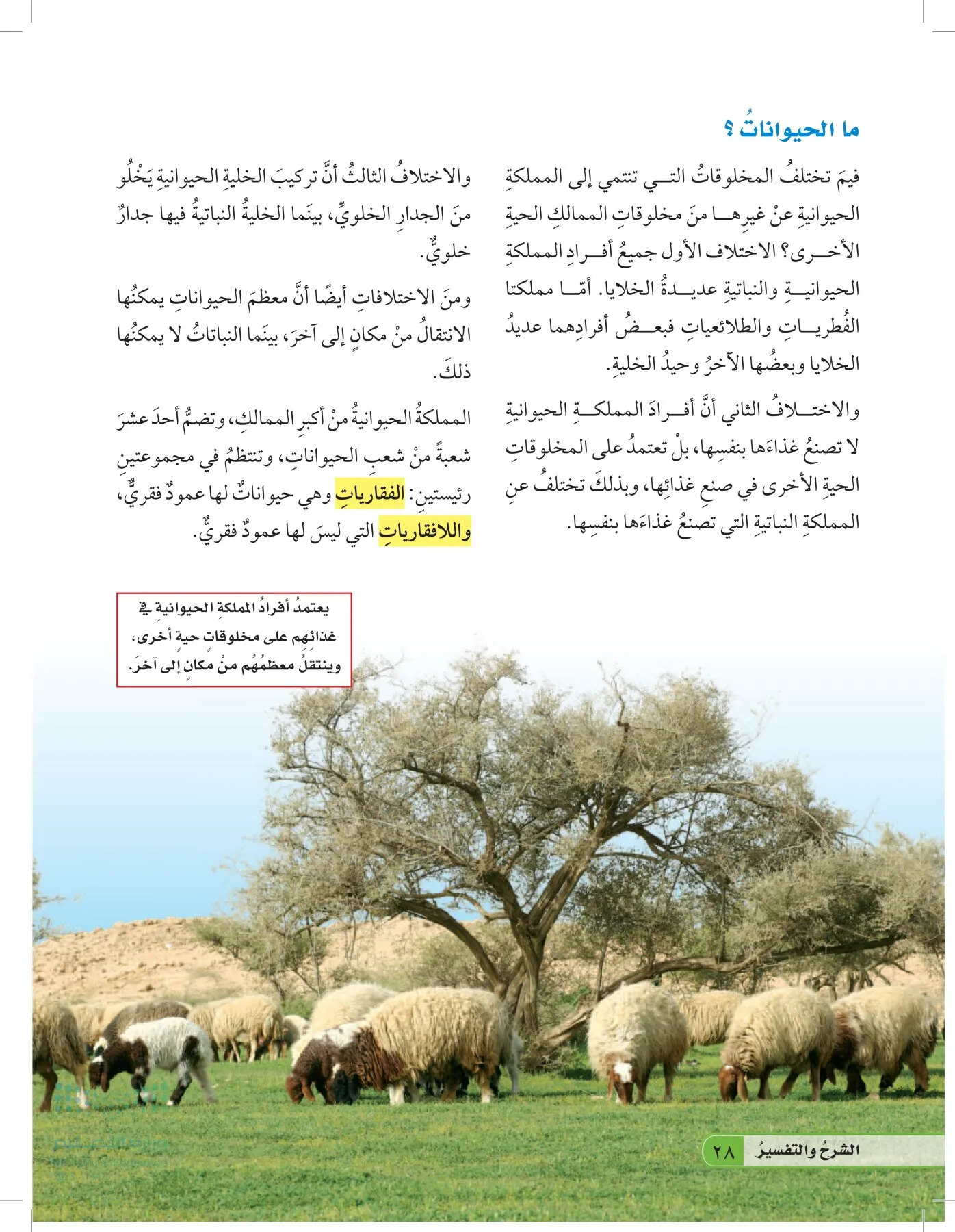 العلوم page-27